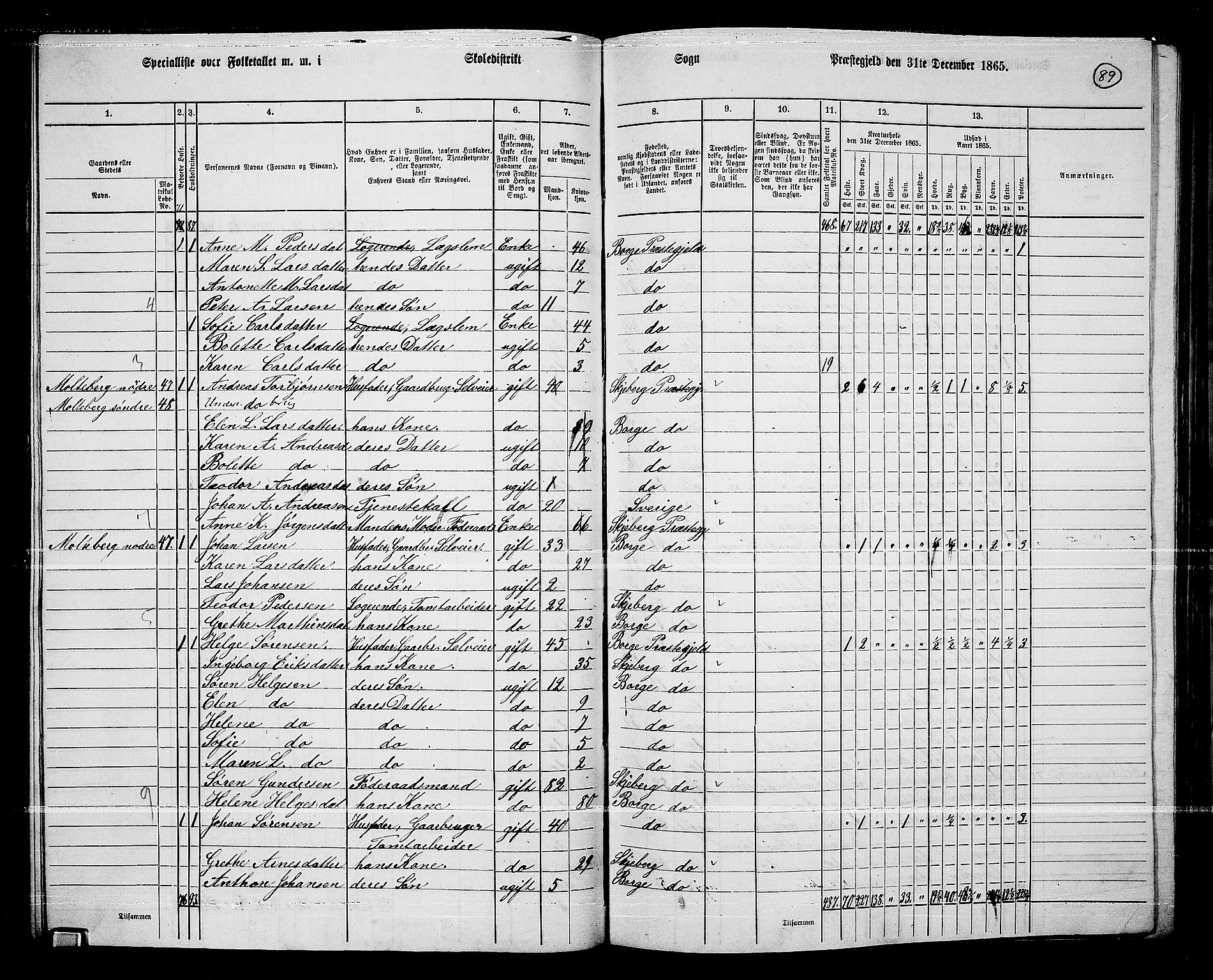 RA, 1865 census for Borge, 1865, p. 84