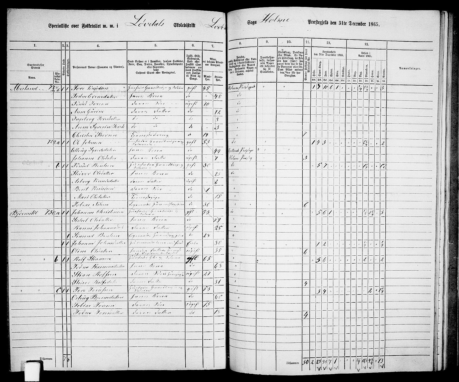 RA, 1865 census for Holum, 1865, p. 137