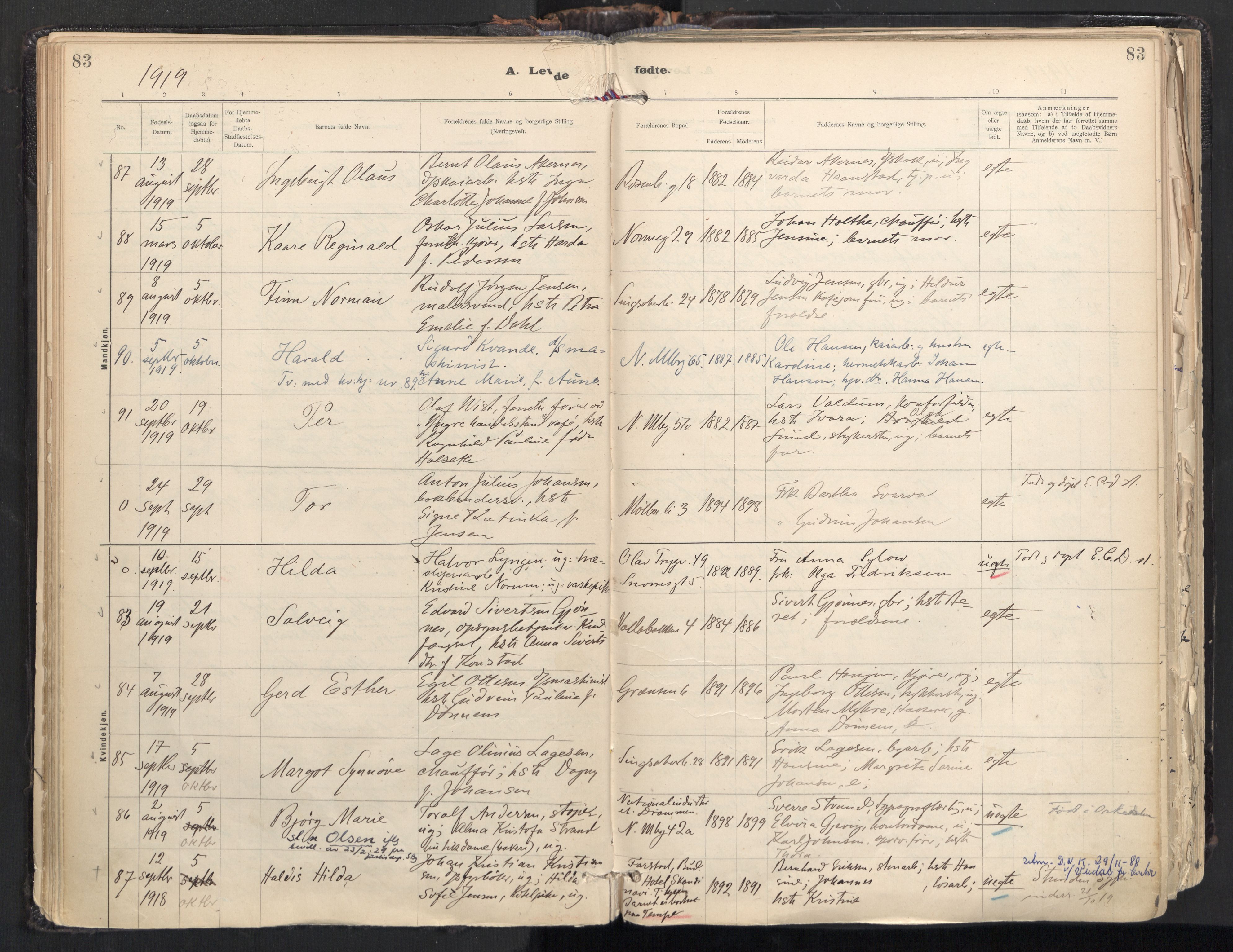 Ministerialprotokoller, klokkerbøker og fødselsregistre - Sør-Trøndelag, SAT/A-1456/604/L0205: Parish register (official) no. 604A25, 1917-1932, p. 83