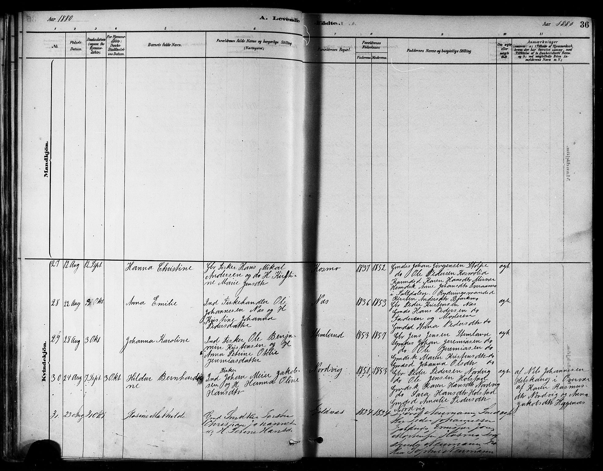 Ministerialprotokoller, klokkerbøker og fødselsregistre - Nordland, AV/SAT-A-1459/852/L0740: Parish register (official) no. 852A10, 1878-1894, p. 36