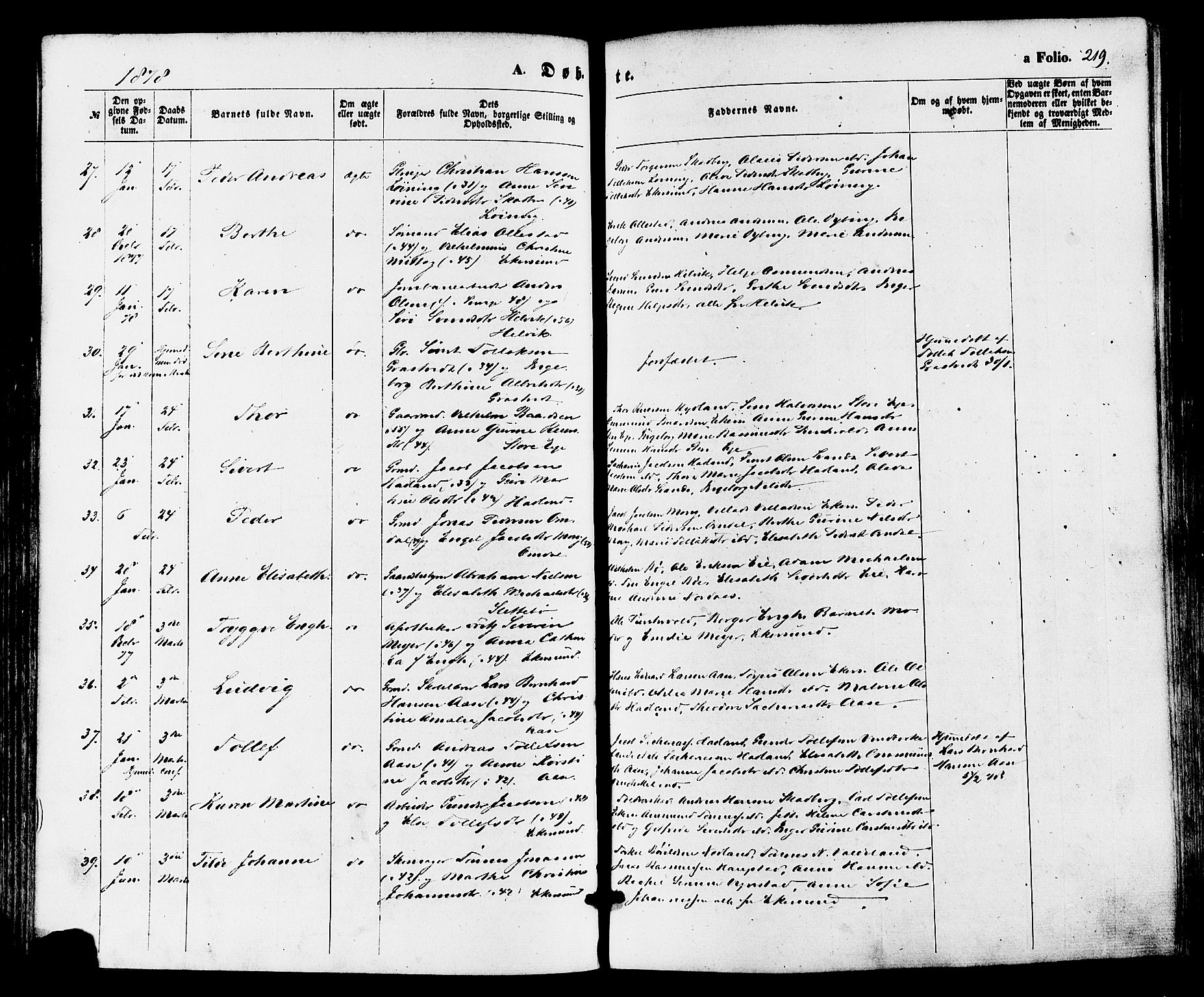 Eigersund sokneprestkontor, SAST/A-101807/S08/L0014: Parish register (official) no. A 13, 1866-1878, p. 219