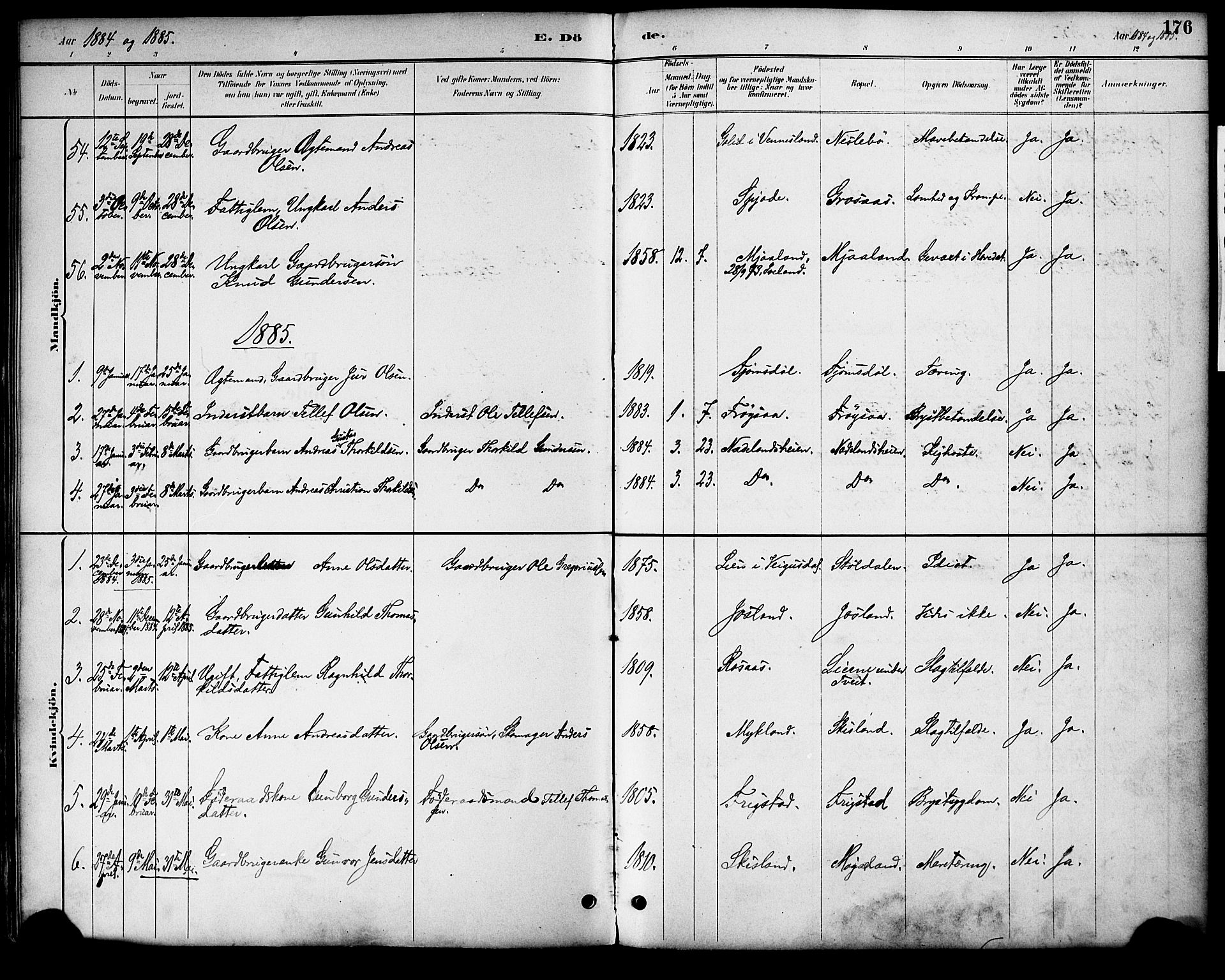 Evje sokneprestkontor, AV/SAK-1111-0008/F/Fa/Fac/L0003: Parish register (official) no. A 3, 1884-1909, p. 176