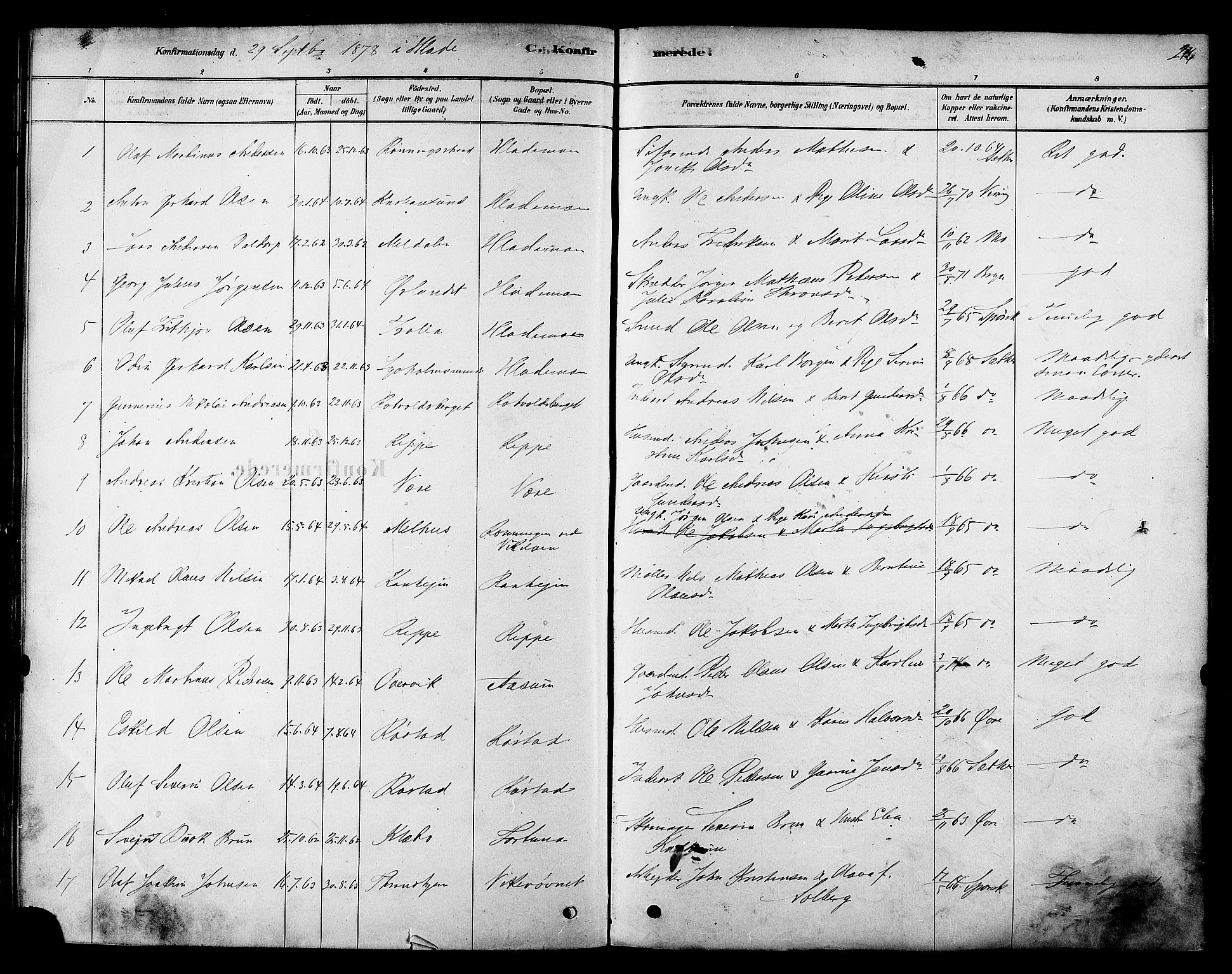 Ministerialprotokoller, klokkerbøker og fødselsregistre - Sør-Trøndelag, SAT/A-1456/606/L0294: Parish register (official) no. 606A09, 1878-1886, p. 216