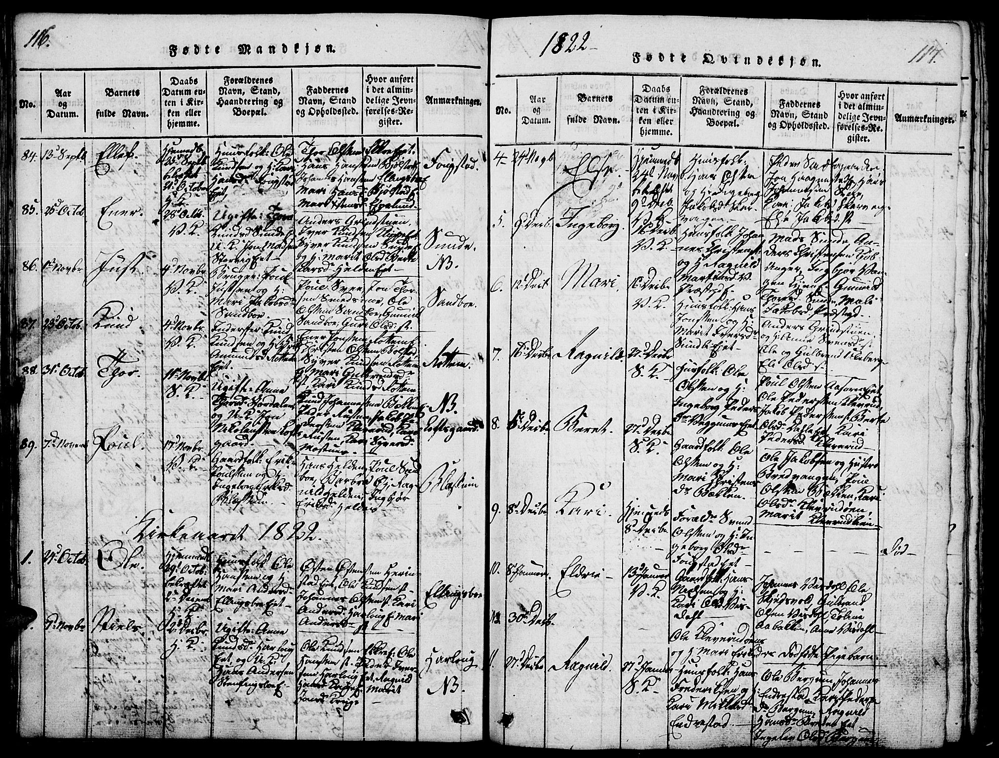 Vågå prestekontor, AV/SAH-PREST-076/H/Ha/Haa/L0003: Parish register (official) no. 3, 1815-1827, p. 116-117