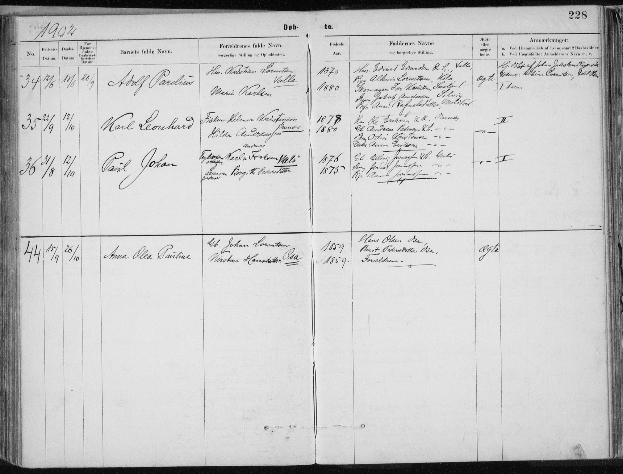 Ministerialprotokoller, klokkerbøker og fødselsregistre - Nordland, AV/SAT-A-1459/843/L0636: Parish register (copy) no. 843C05, 1884-1909, p. 228