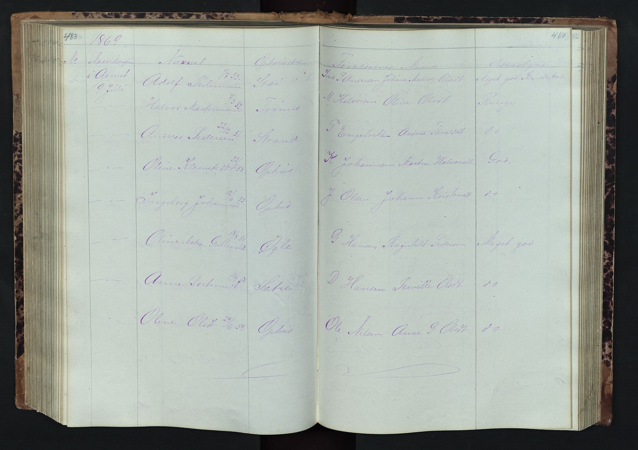 Stor-Elvdal prestekontor, SAH/PREST-052/H/Ha/Hab/L0001: Parish register (copy) no. 1 /1, 1860-1894, p. 483-484