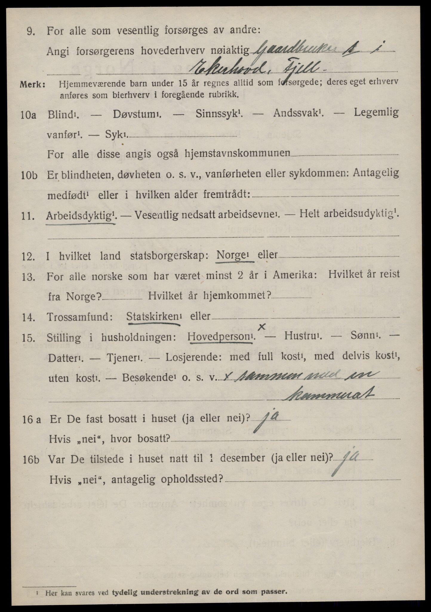 SAT, 1920 census for Volda, 1920, p. 6291