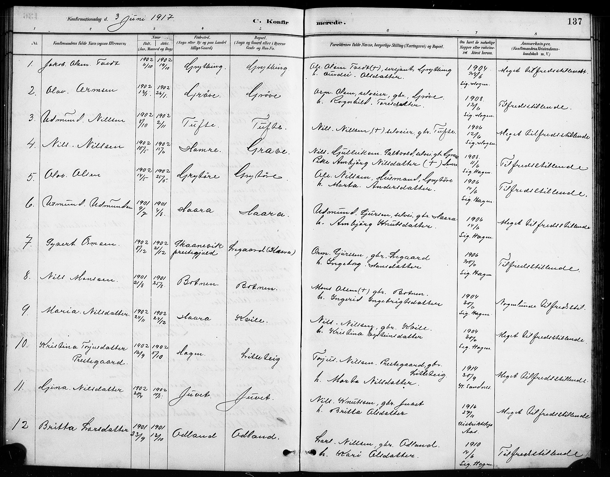 Røldal sokneprestembete, SAB/A-100247: Parish register (copy) no. A 3, 1887-1917, p. 137