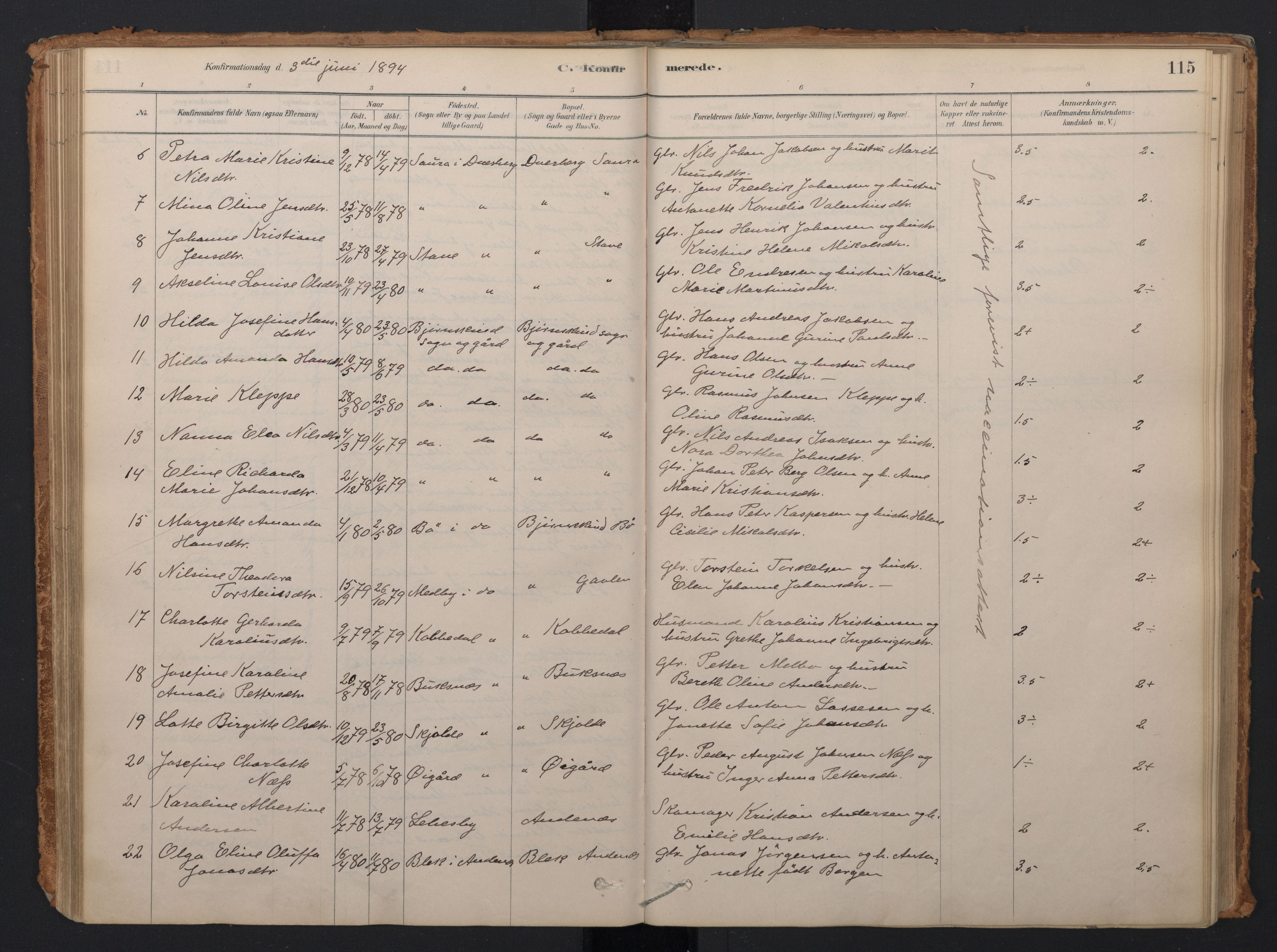 Ministerialprotokoller, klokkerbøker og fødselsregistre - Nordland, AV/SAT-A-1459/897/L1399: Parish register (official) no. 897A06, 1881-1896, p. 115