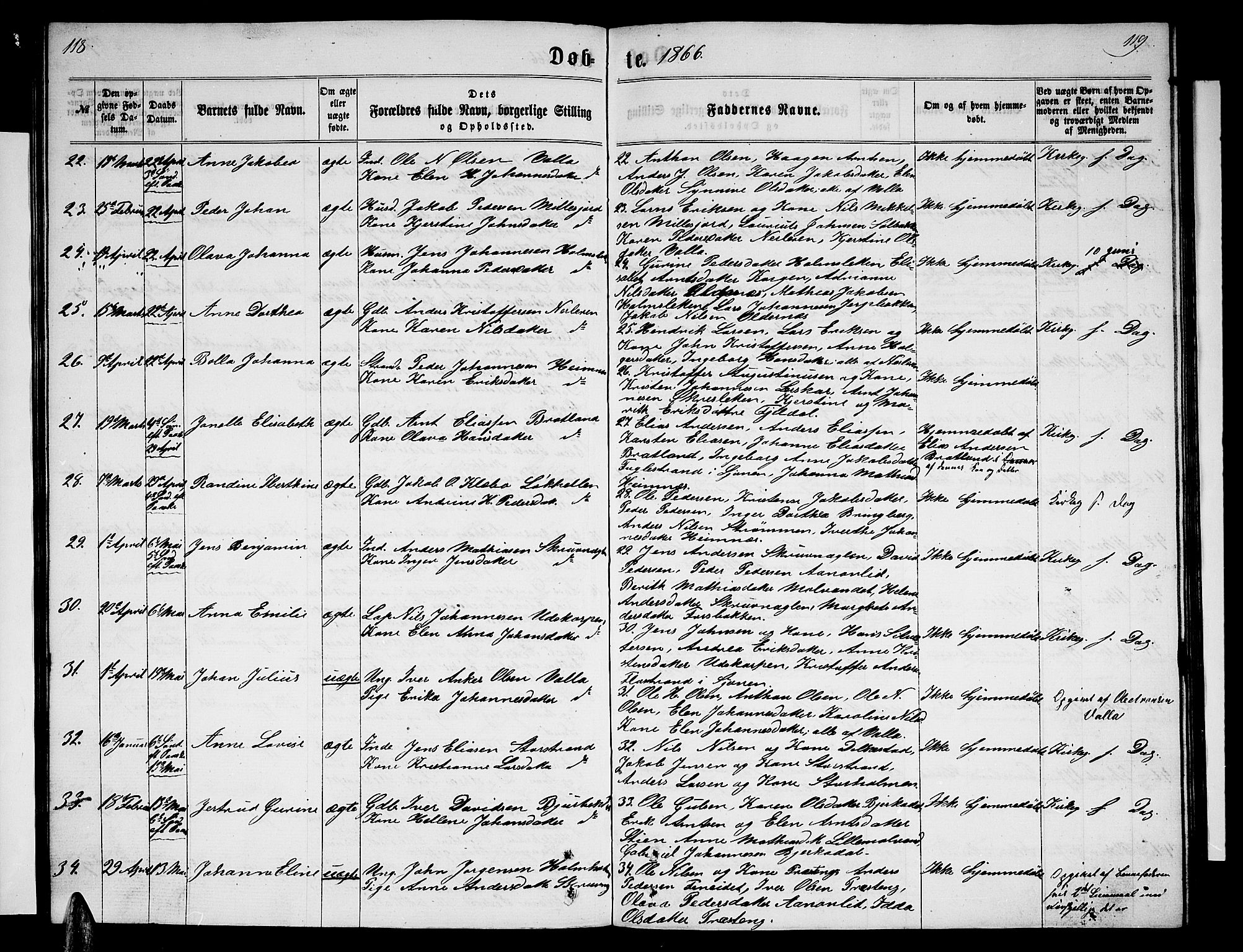 Ministerialprotokoller, klokkerbøker og fødselsregistre - Nordland, AV/SAT-A-1459/825/L0365: Parish register (copy) no. 825C02, 1858-1873, p. 118-119