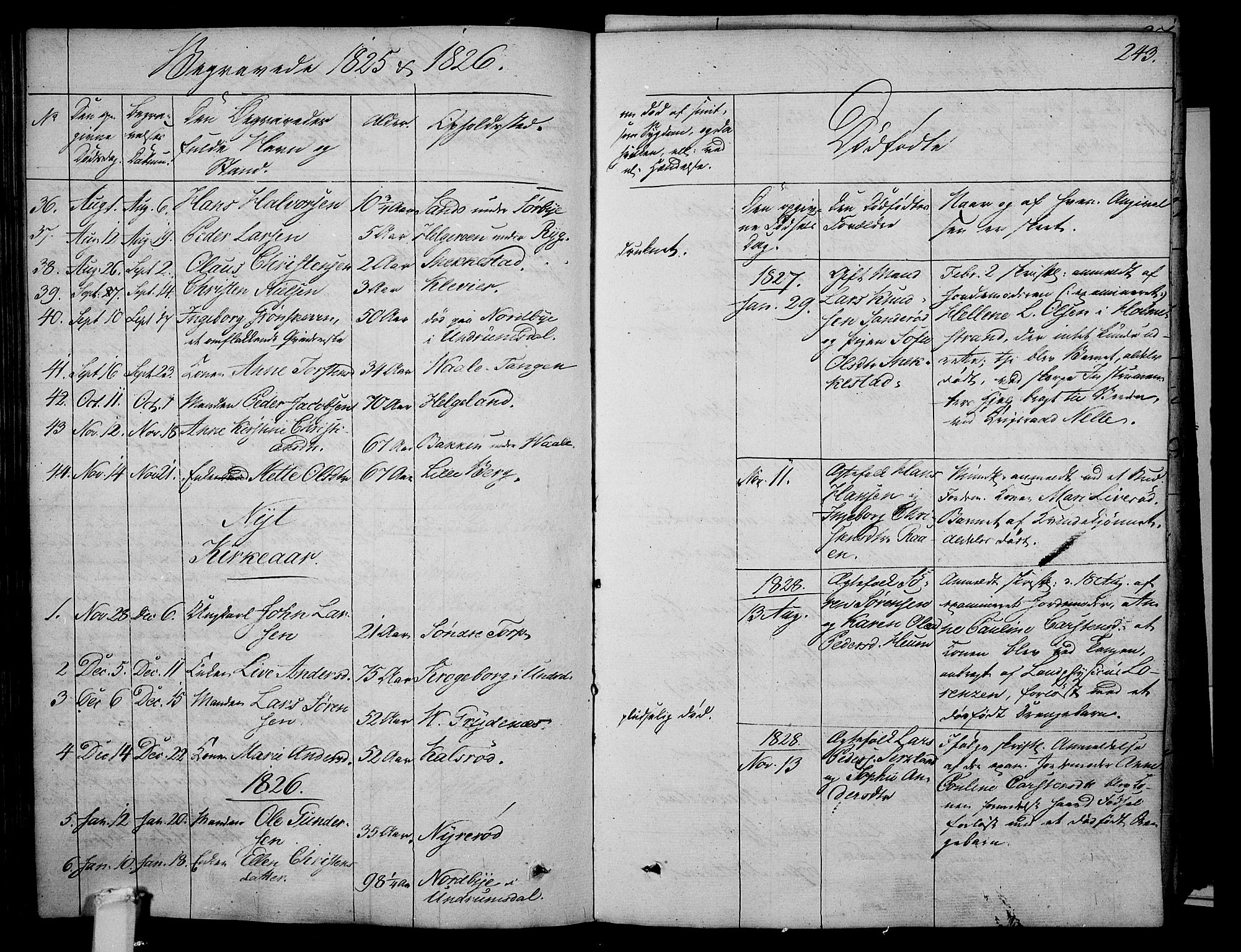 Våle kirkebøker, SAKO/A-334/F/Fa/L0008: Parish register (official) no. I 8, 1824-1844, p. 243