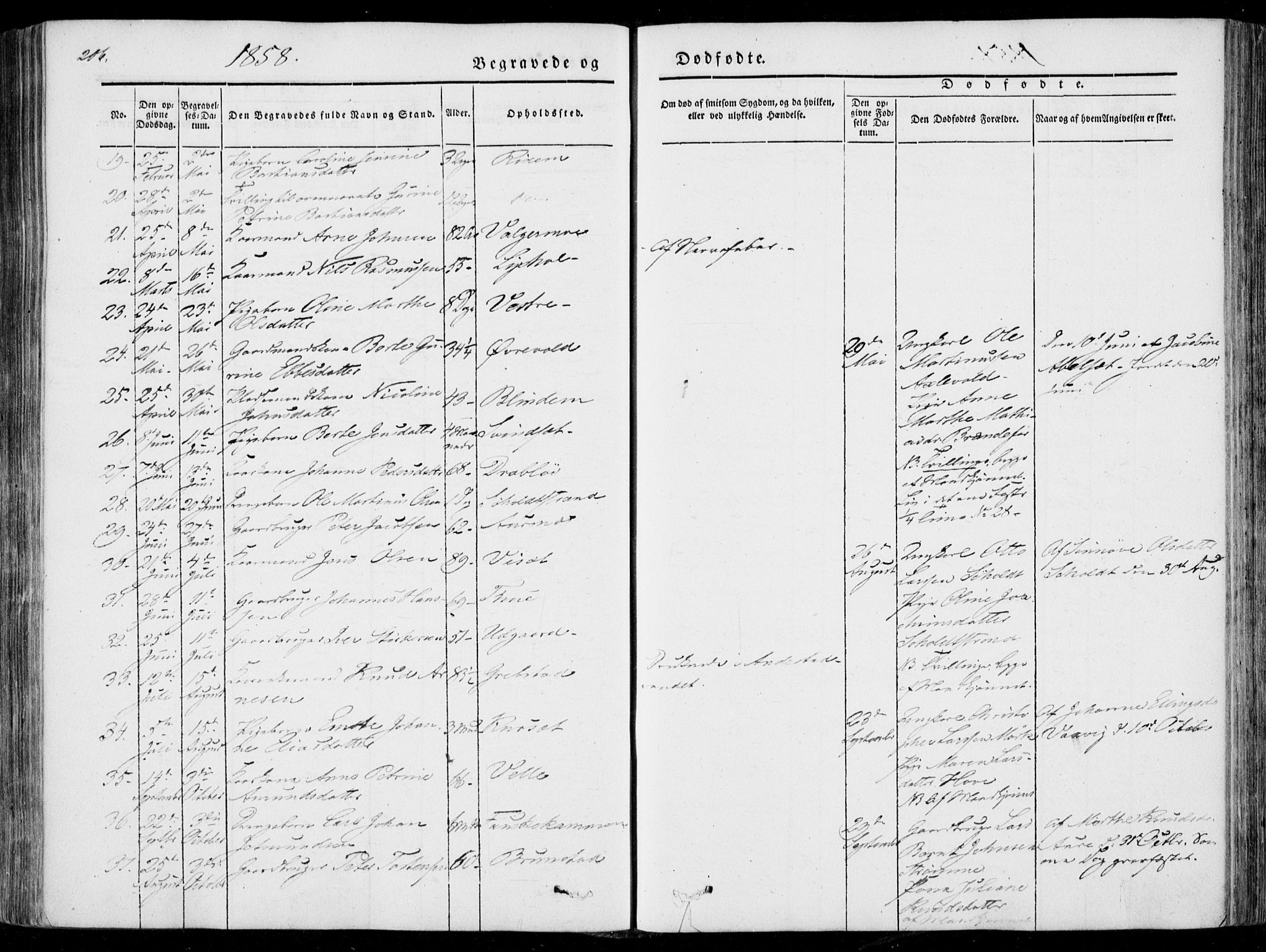 Ministerialprotokoller, klokkerbøker og fødselsregistre - Møre og Romsdal, AV/SAT-A-1454/522/L0313: Parish register (official) no. 522A08, 1852-1862, p. 206