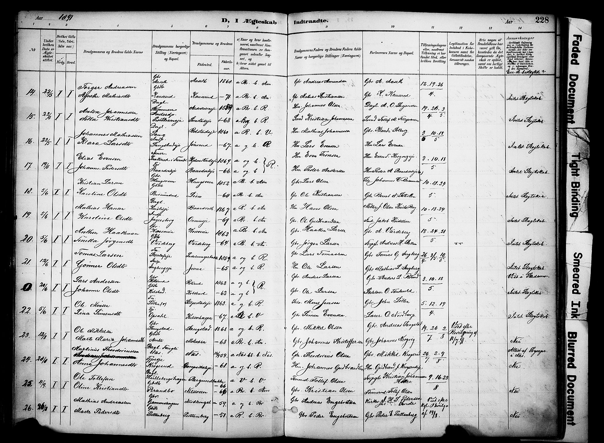 Ringsaker prestekontor, AV/SAH-PREST-014/K/Ka/L0017: Parish register (official) no. 17, 1891-1902, p. 228