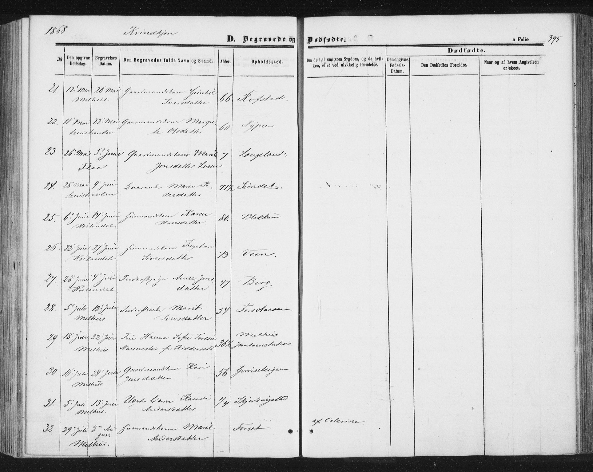 Ministerialprotokoller, klokkerbøker og fødselsregistre - Sør-Trøndelag, AV/SAT-A-1456/691/L1077: Parish register (official) no. 691A09, 1862-1873, p. 395