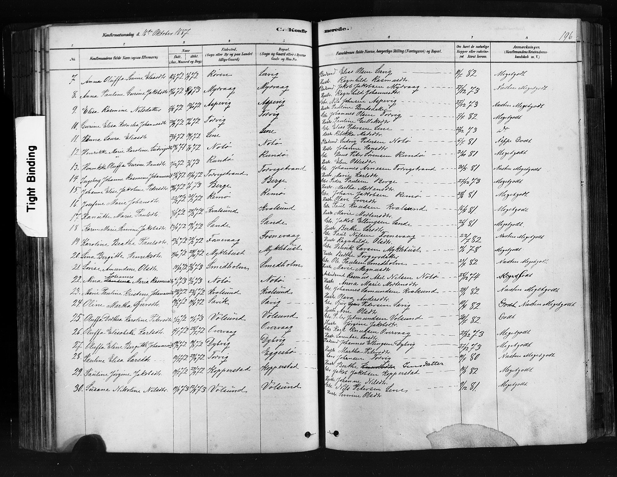 Ministerialprotokoller, klokkerbøker og fødselsregistre - Møre og Romsdal, AV/SAT-A-1454/507/L0073: Parish register (official) no. 507A08, 1878-1904, p. 196