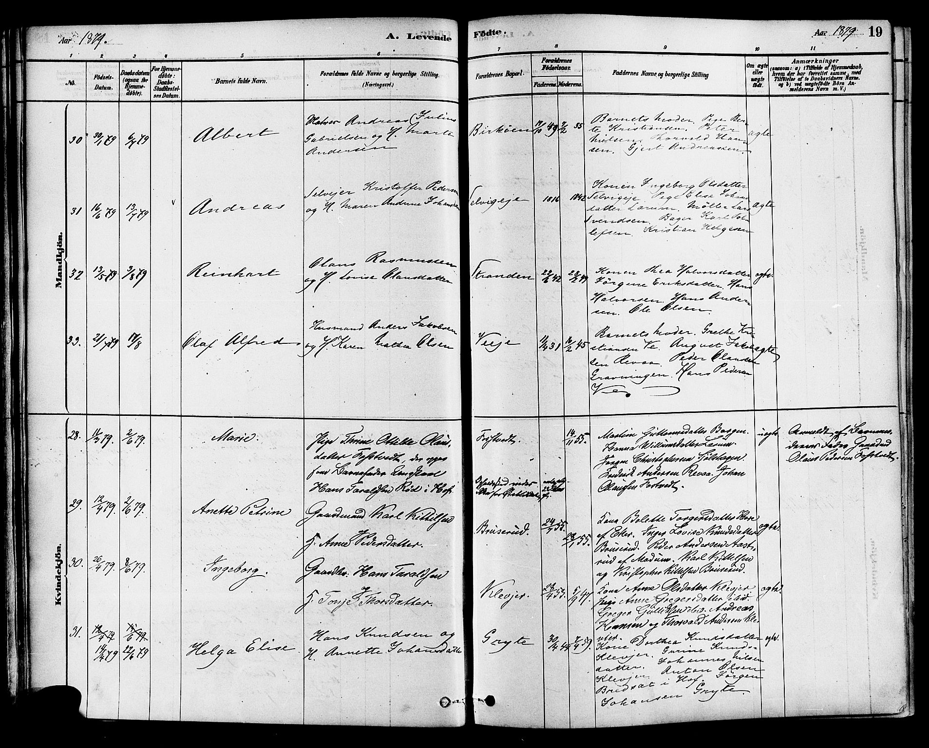 Sande Kirkebøker, AV/SAKO-A-53/F/Fa/L0006: Parish register (official) no. 6, 1878-1888, p. 19