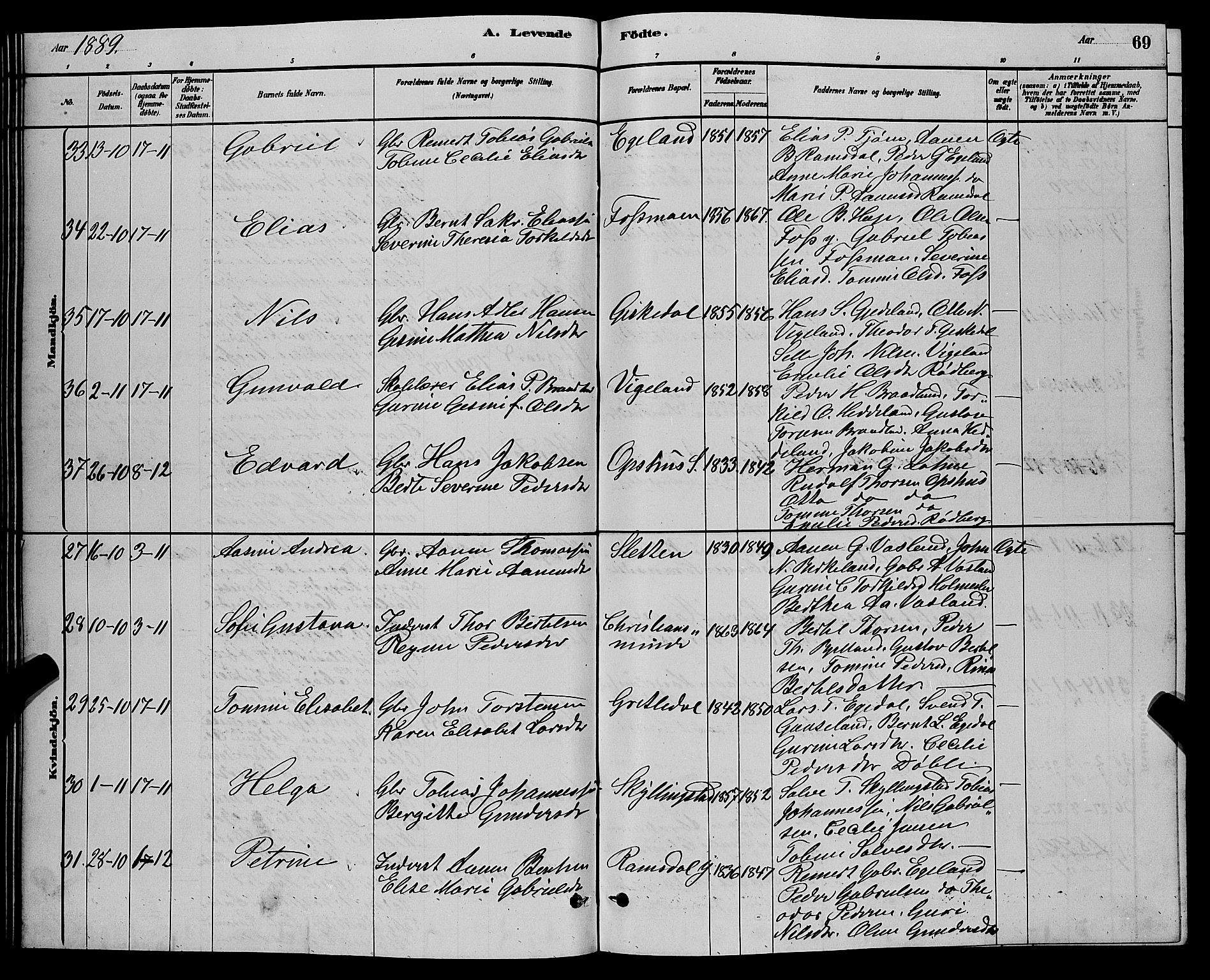 Sør-Audnedal sokneprestkontor, AV/SAK-1111-0039/F/Fb/Fbb/L0005: Parish register (copy) no. B 5, 1880-1892, p. 69