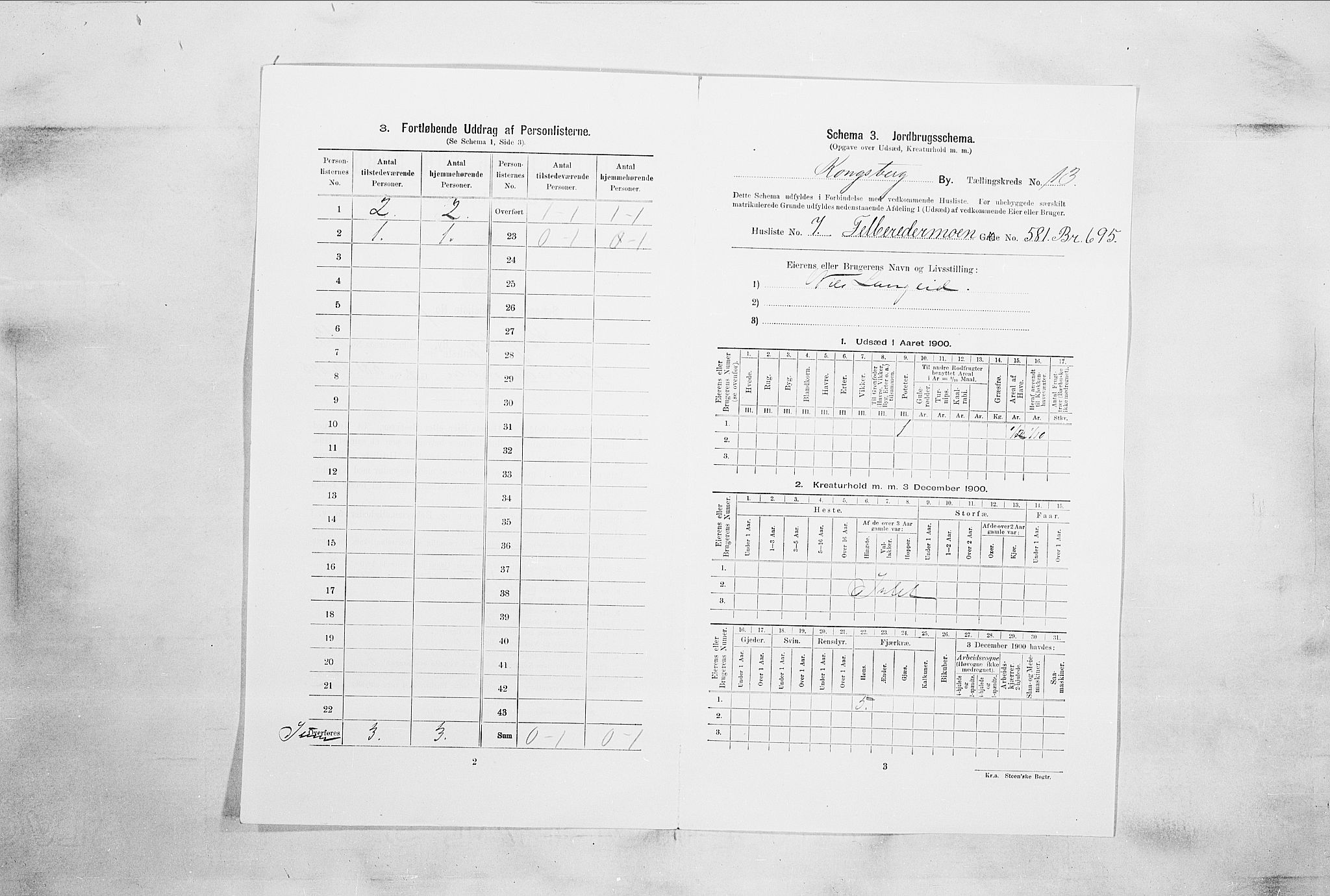 RA, 1900 census for Kongsberg, 1900, p. 2255