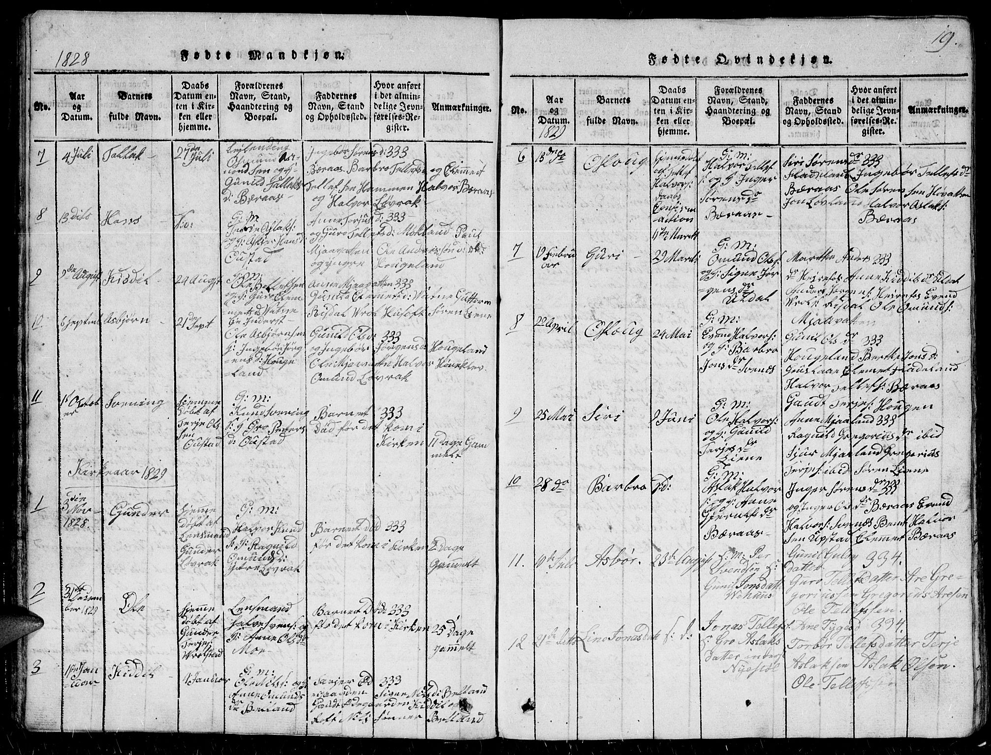 Herefoss sokneprestkontor, SAK/1111-0019/F/Fb/Fbc/L0001: Parish register (copy) no. B 1, 1816-1866, p. 19