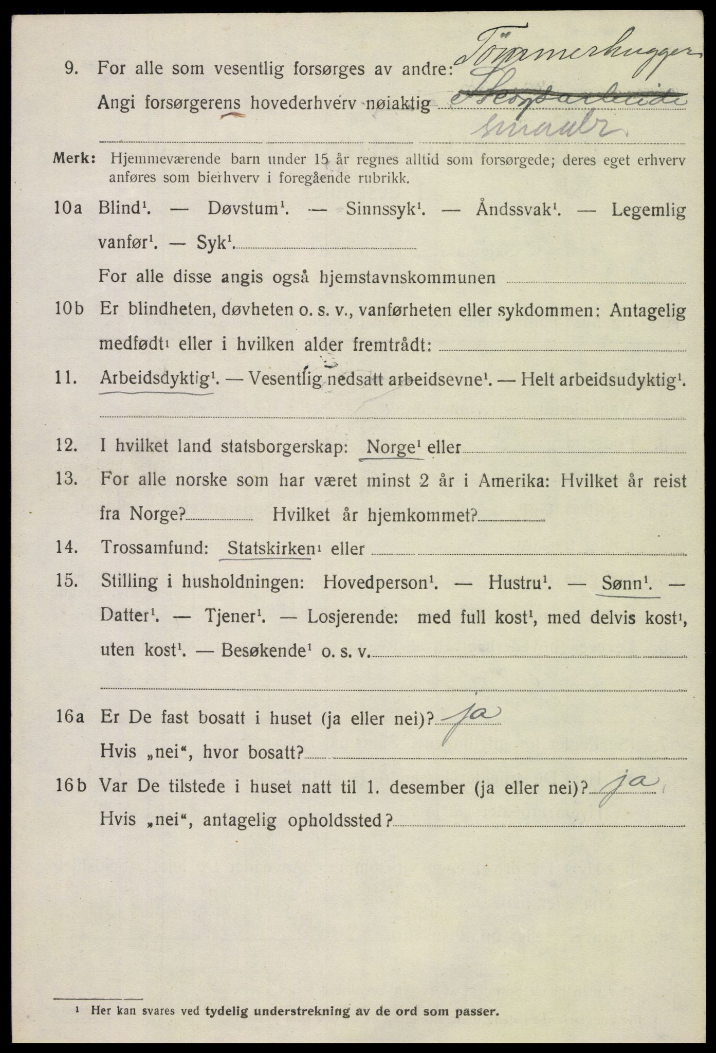 SAH, 1920 census for Snertingdal, 1920, p. 4270