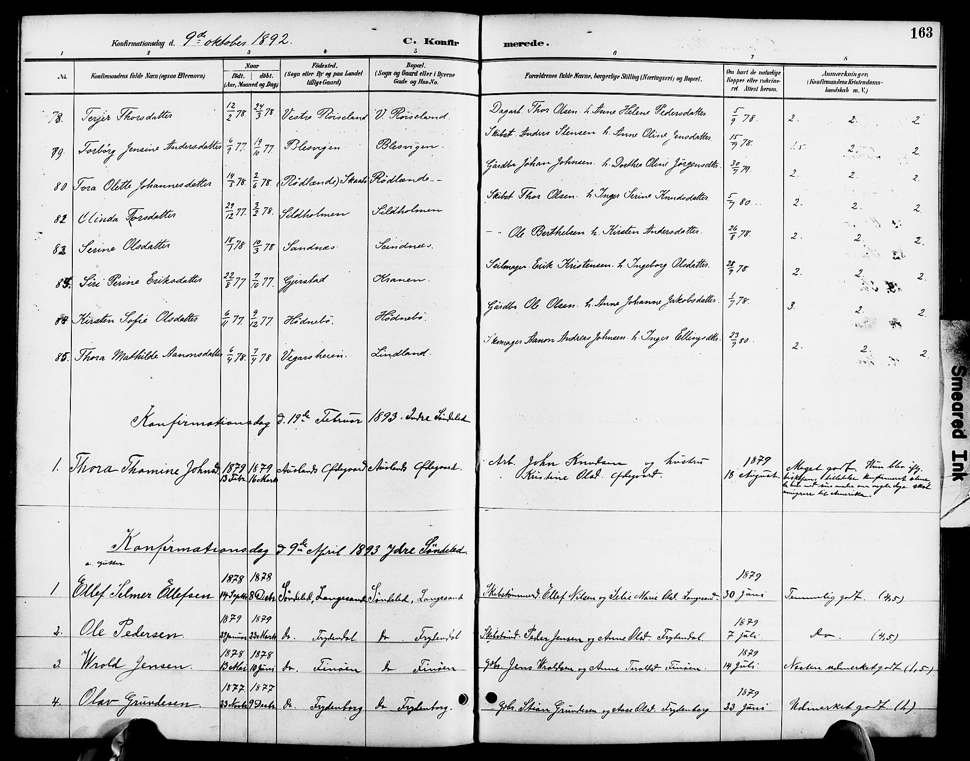 Søndeled sokneprestkontor, AV/SAK-1111-0038/F/Fa/L0005: Parish register (official) no. A 5, 1889-1899, p. 163