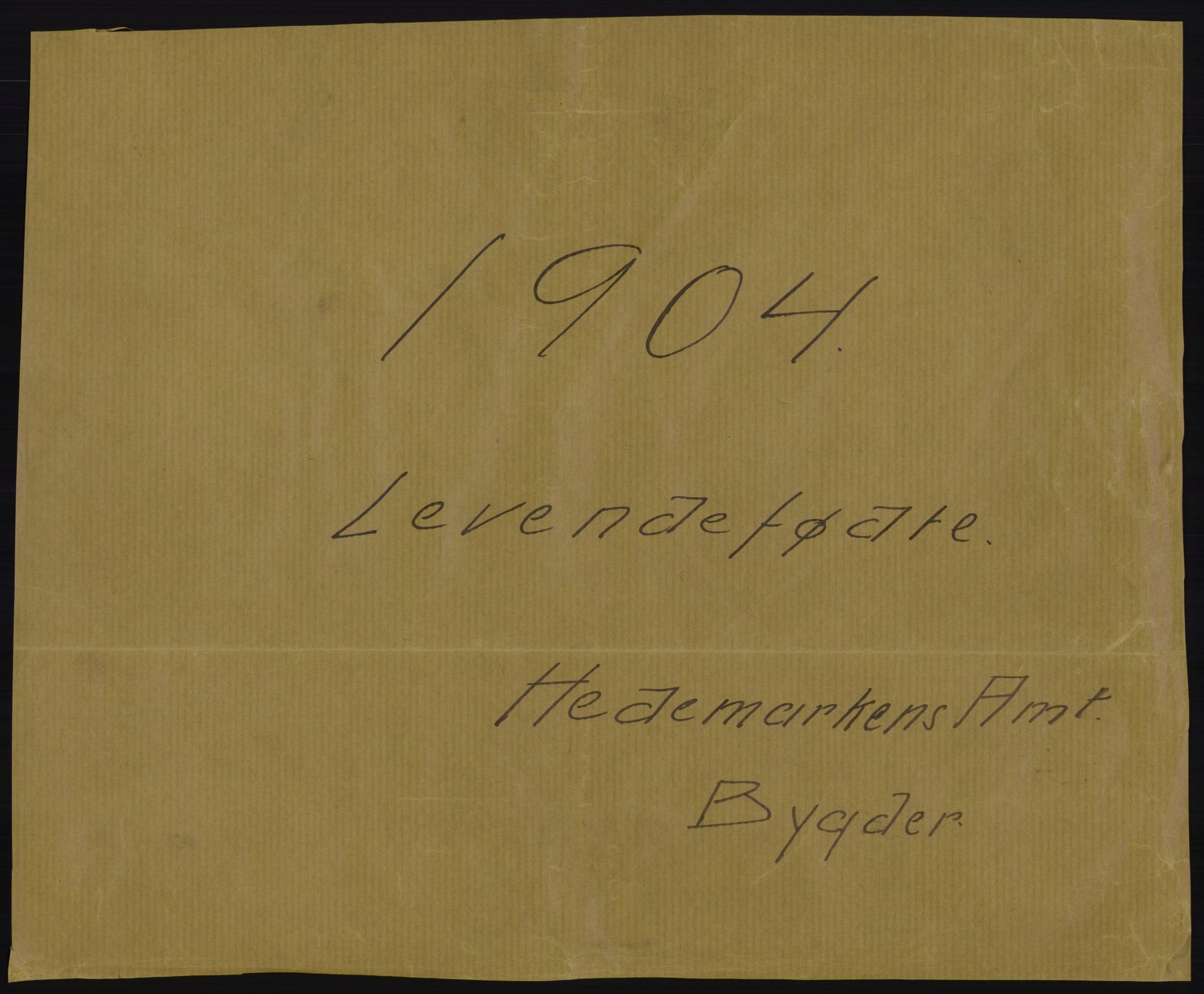 Statistisk sentralbyrå, Sosiodemografiske emner, Befolkning, AV/RA-S-2228/D/Df/Dfa/Dfab/L0005: Hedemarkens amt: Fødte, gifte, døde, 1904, p. 53