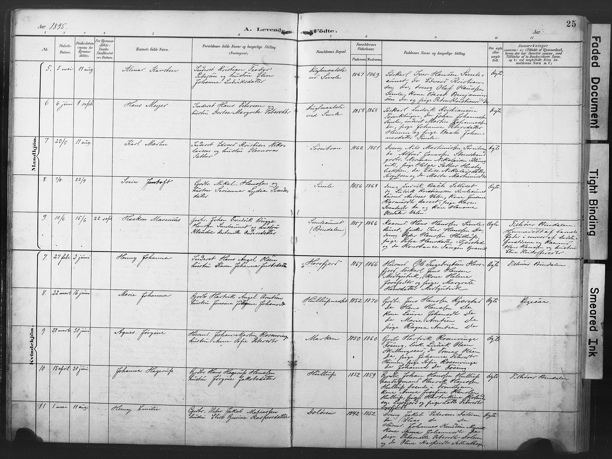 Ministerialprotokoller, klokkerbøker og fødselsregistre - Nord-Trøndelag, AV/SAT-A-1458/789/L0706: Parish register (copy) no. 789C01, 1888-1931, p. 25