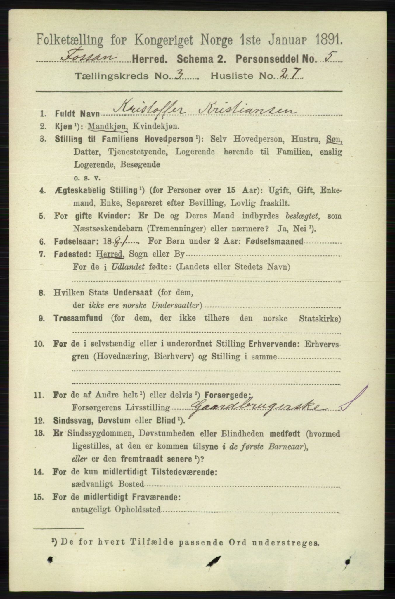 RA, 1891 census for 1129 Forsand, 1891, p. 493