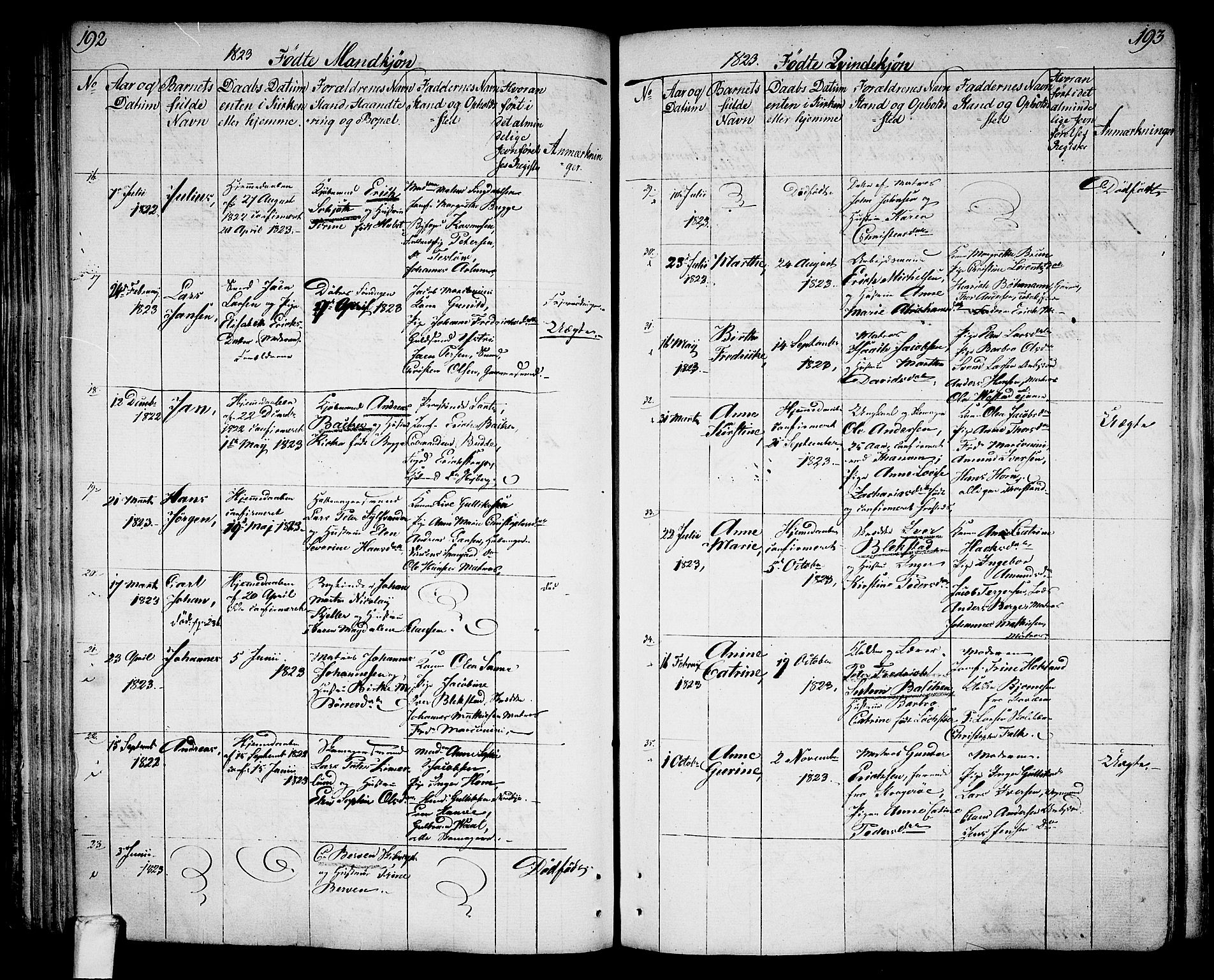 Larvik kirkebøker, AV/SAKO-A-352/G/Ga/L0002: Parish register (copy) no. I 2, 1807-1830, p. 192-193