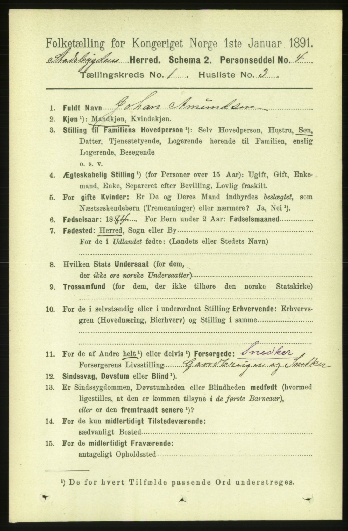 RA, 1891 census for 1625 Stadsbygd, 1891, p. 119