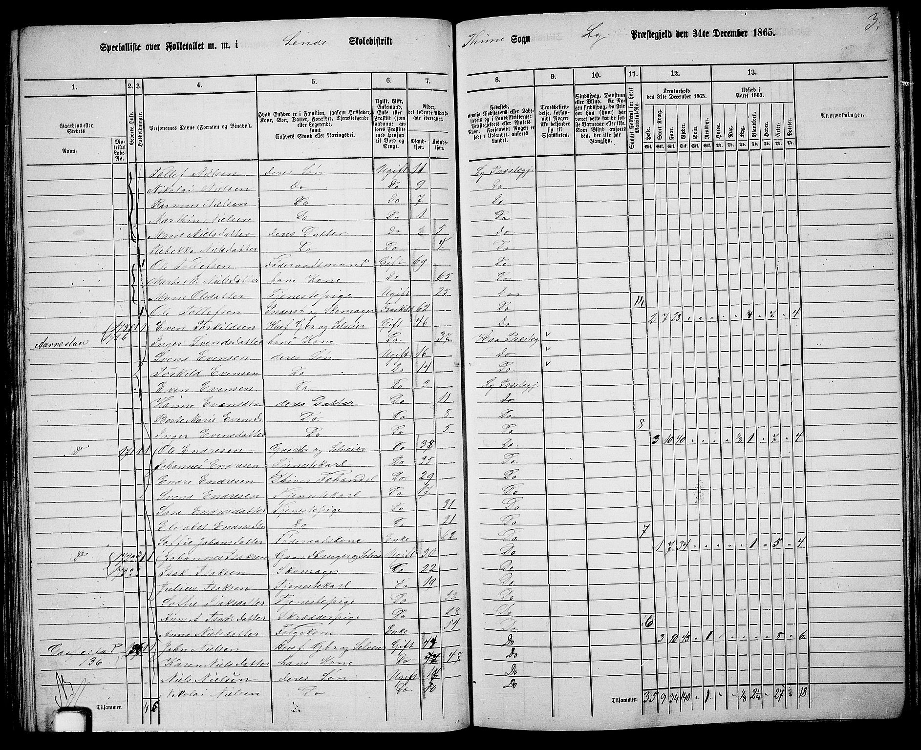 RA, 1865 census for Lye, 1865, p. 95