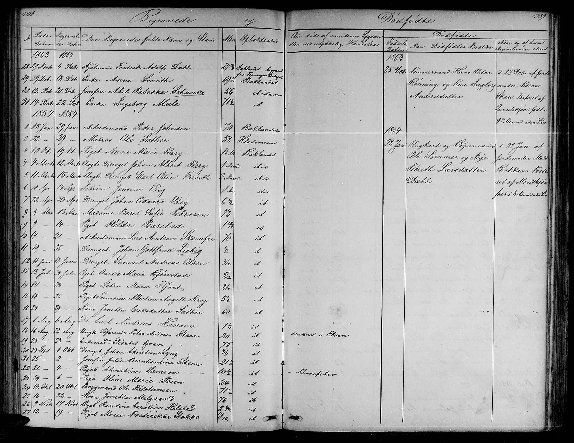 Ministerialprotokoller, klokkerbøker og fødselsregistre - Sør-Trøndelag, SAT/A-1456/604/L0219: Parish register (copy) no. 604C02, 1851-1869, p. 338-339