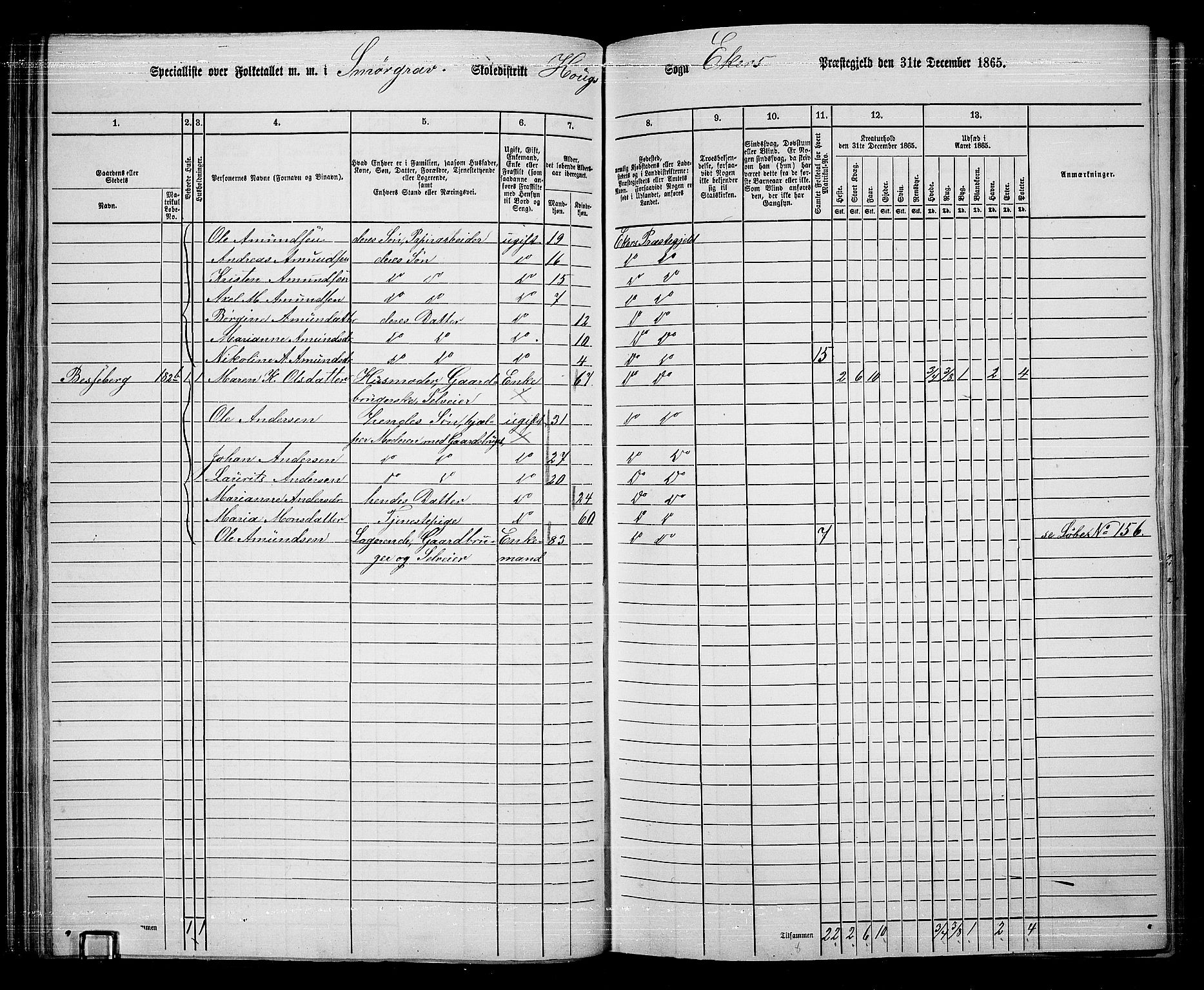 RA, 1865 census for Eiker, 1865, p. 61