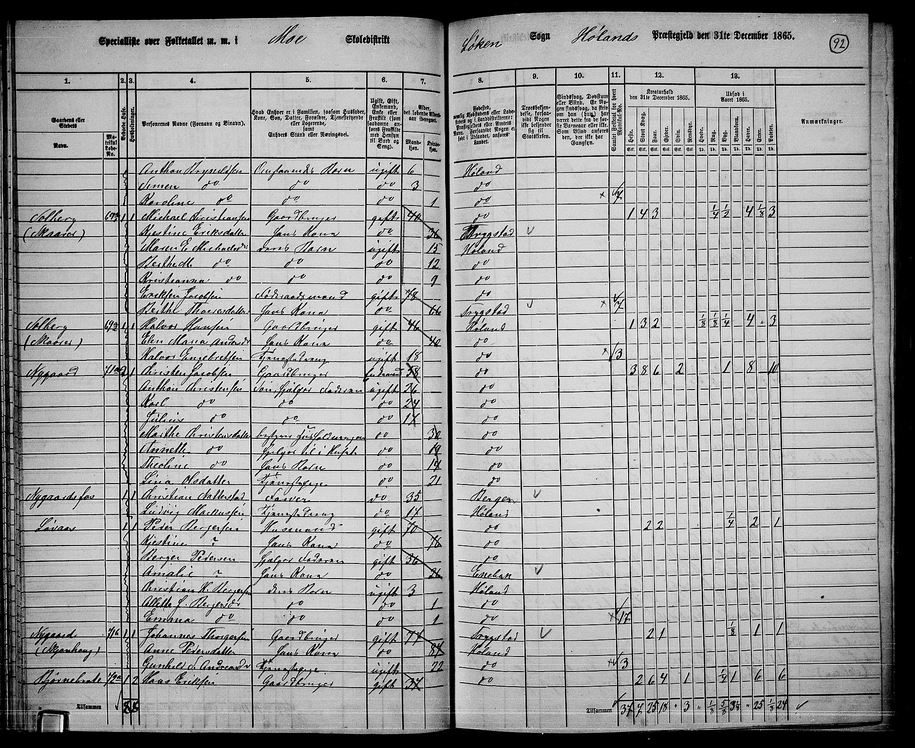 RA, 1865 census for Høland, 1865, p. 85