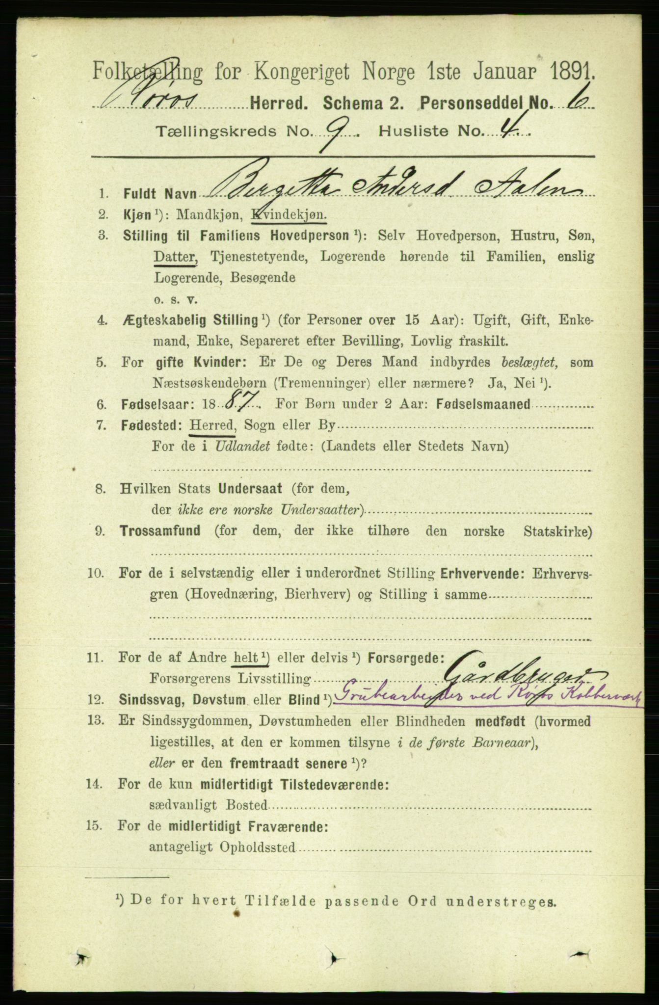 RA, 1891 census for 1640 Røros, 1891, p. 1841