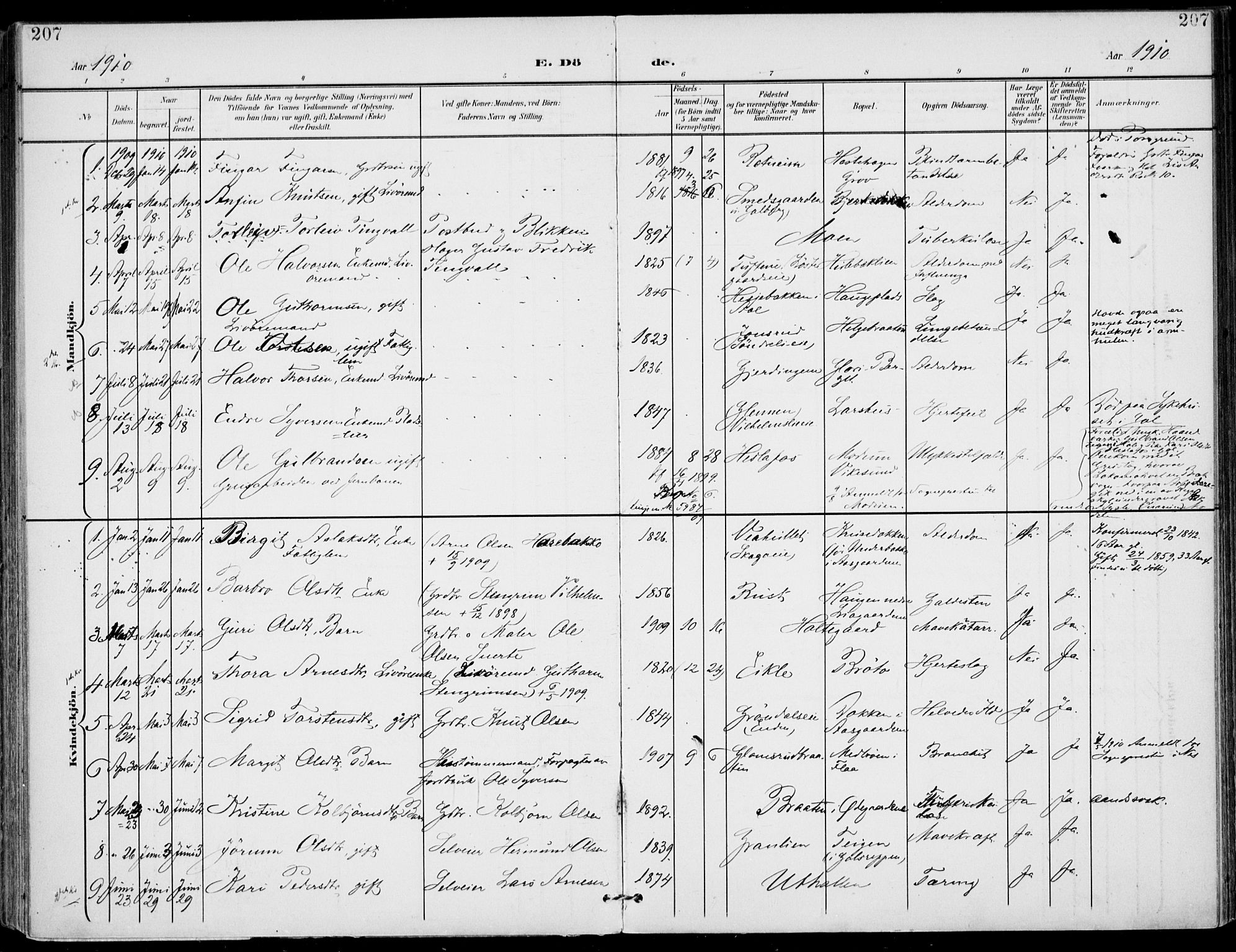 Gol kirkebøker, SAKO/A-226/F/Fa/L0006: Parish register (official) no. I 6, 1901-1918, p. 207