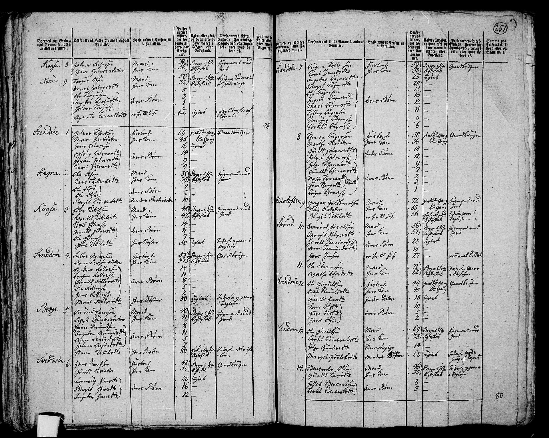 RA, 1801 census for 0821P Bø, 1801, p. 250b-251a