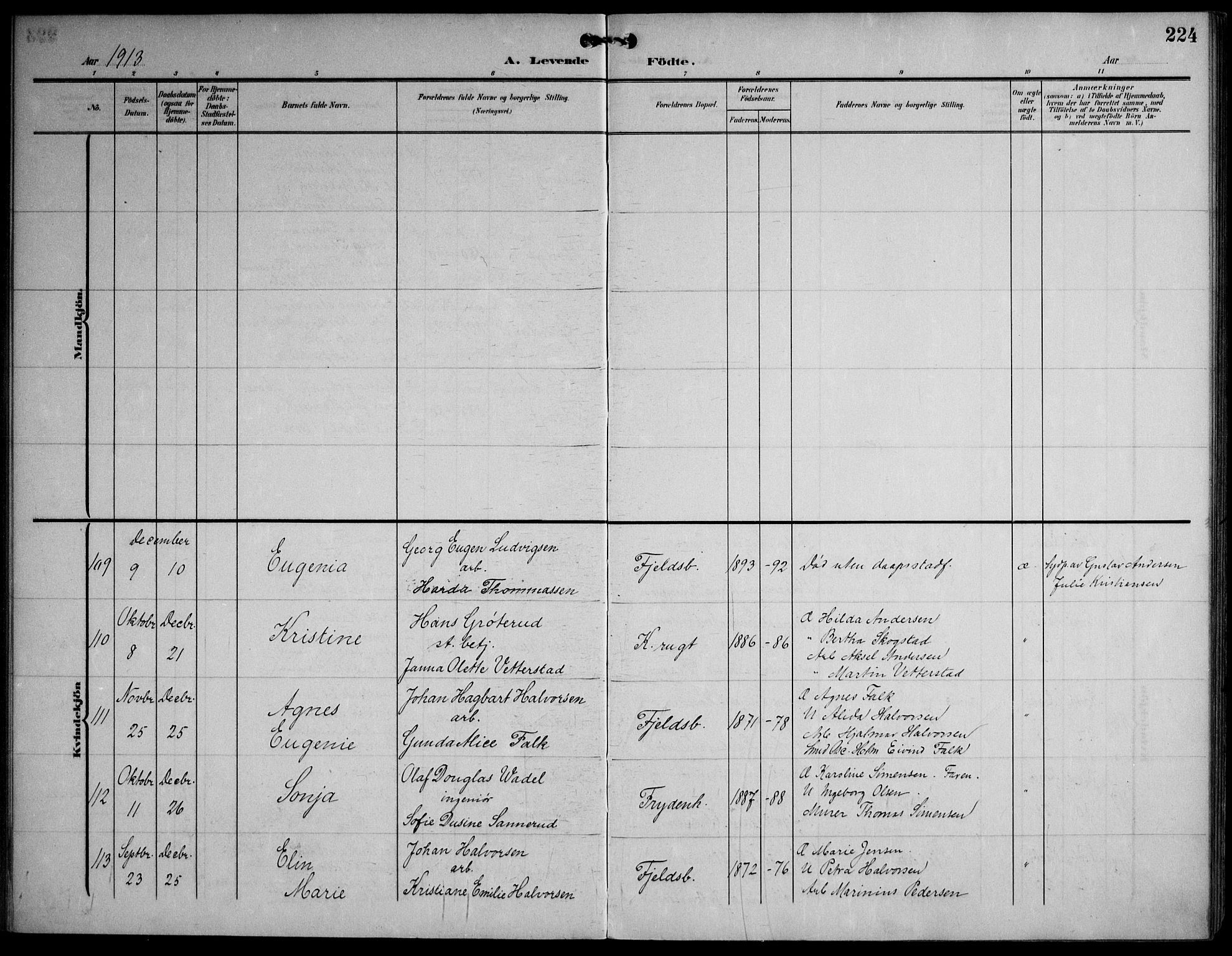 Strømsø kirkebøker, AV/SAKO-A-246/F/Fa/L0026: Parish register (official) no. I 26, 1905-1914, p. 224