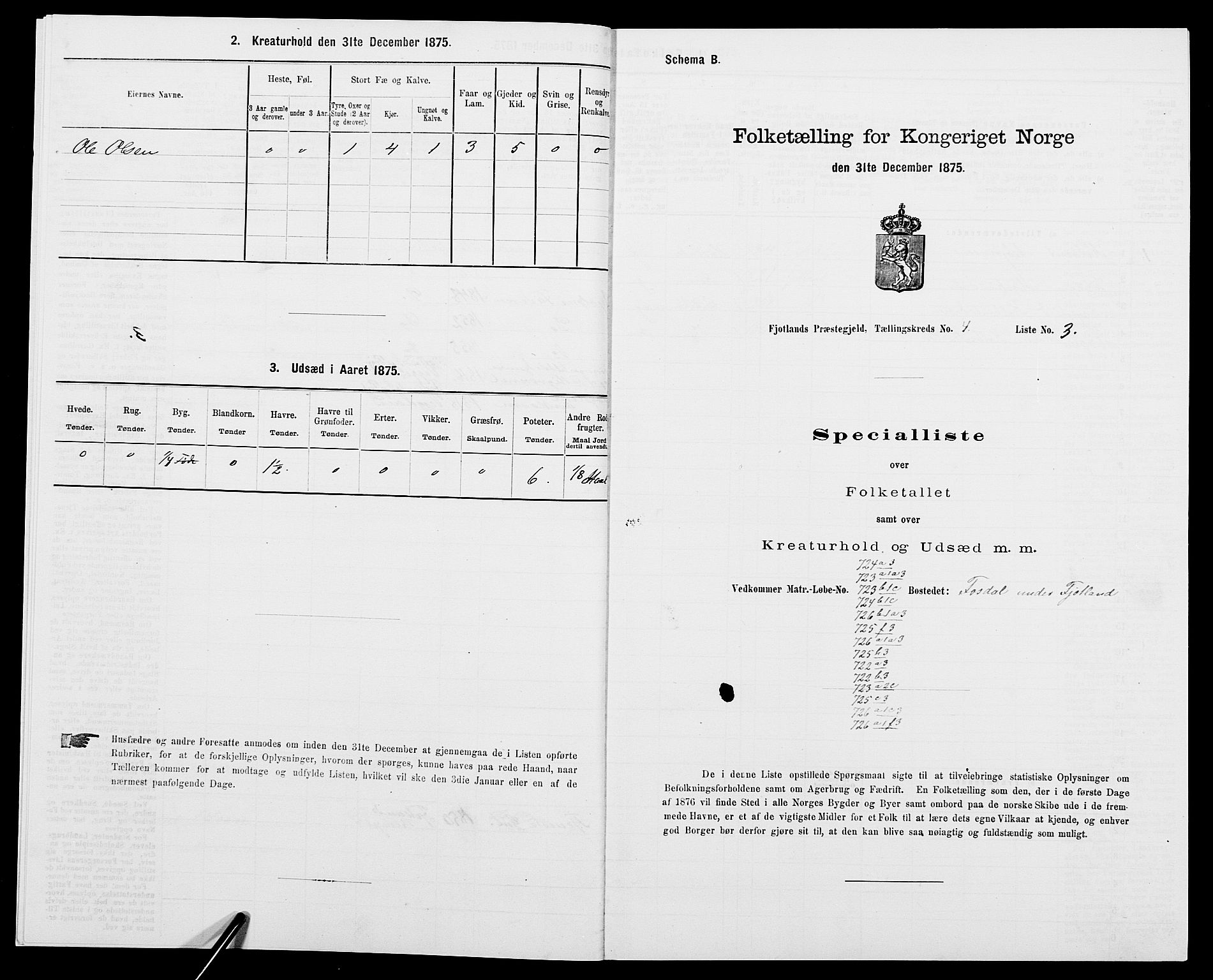 SAK, 1875 census for 1036P Fjotland, 1875, p. 219