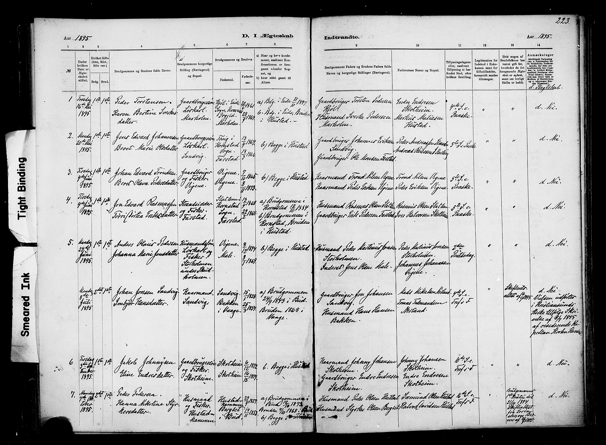 Ministerialprotokoller, klokkerbøker og fødselsregistre - Møre og Romsdal, SAT/A-1454/567/L0778: Parish register (official) no. 567A01, 1881-1903, p. 223