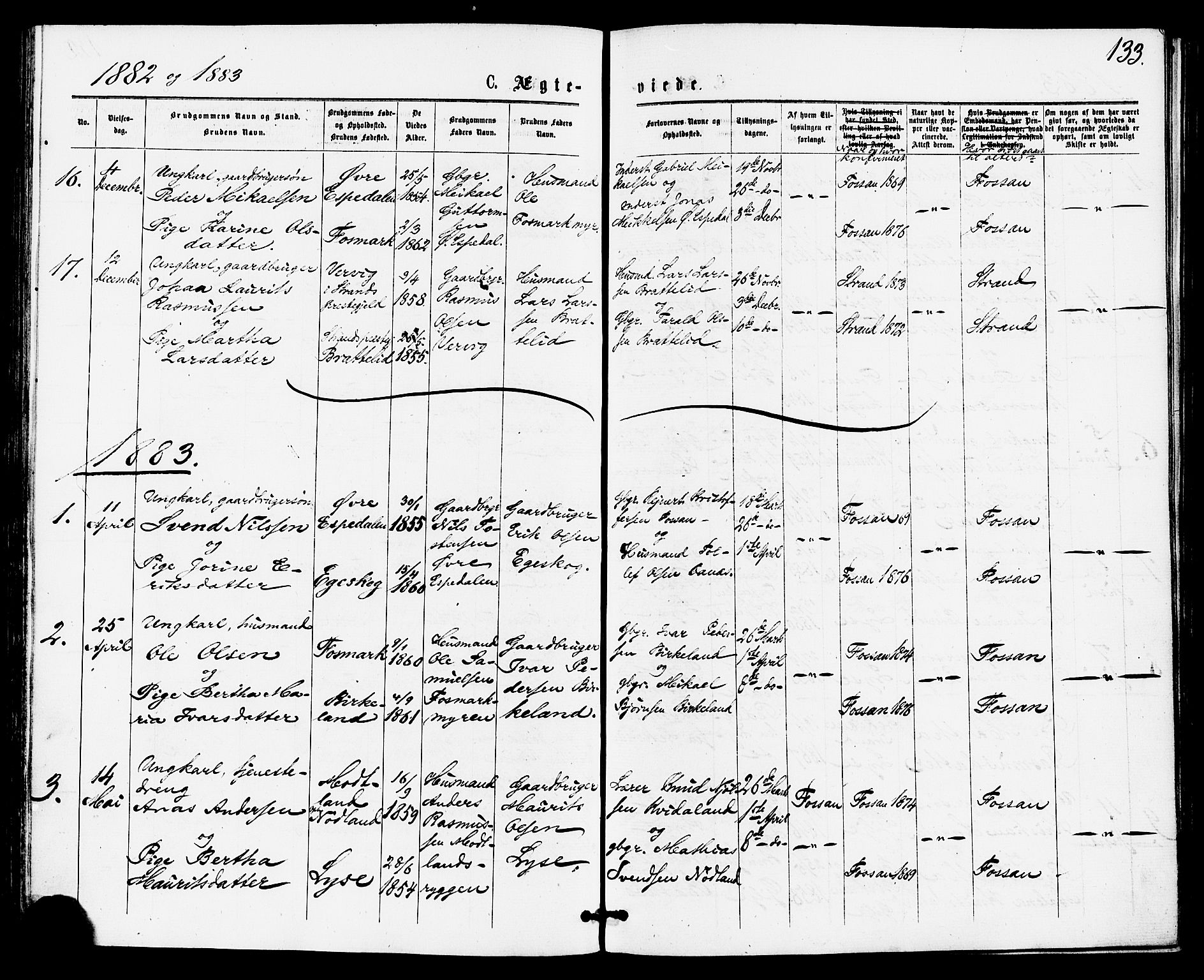 Høgsfjord sokneprestkontor, SAST/A-101624/H/Ha/Haa/L0004: Parish register (official) no. A 4, 1876-1884, p. 133