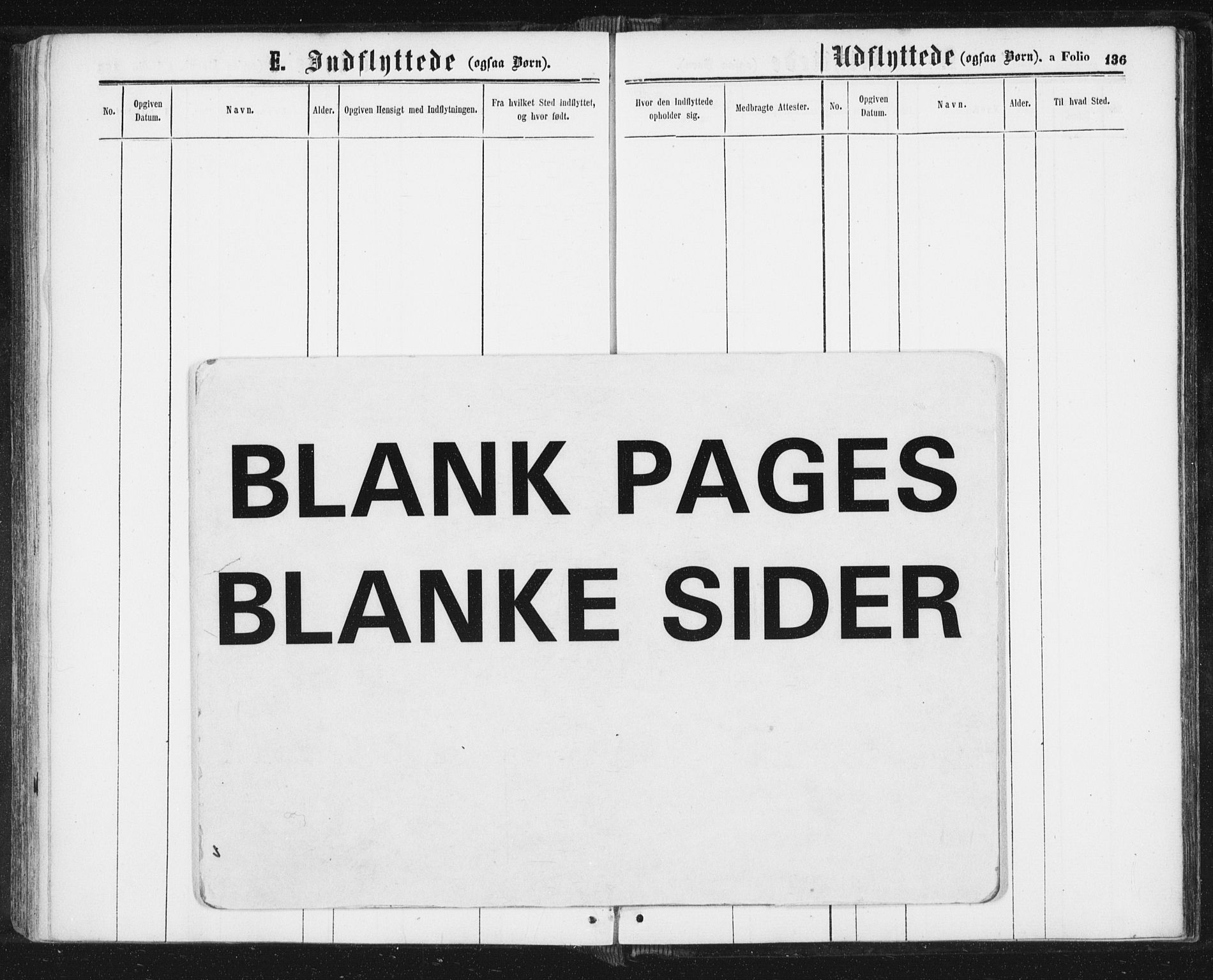 Ministerialprotokoller, klokkerbøker og fødselsregistre - Sør-Trøndelag, AV/SAT-A-1456/689/L1039: Parish register (official) no. 689A04, 1865-1878, p. 136