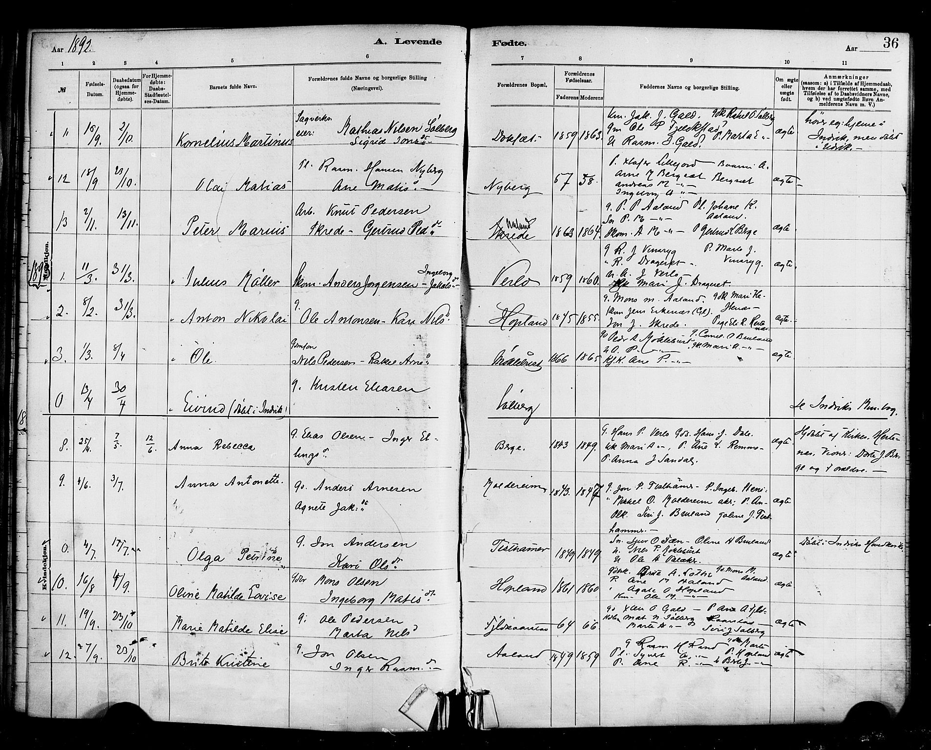 Innvik sokneprestembete, AV/SAB-A-80501: Parish register (official) no. D 1, 1879-1900, p. 36