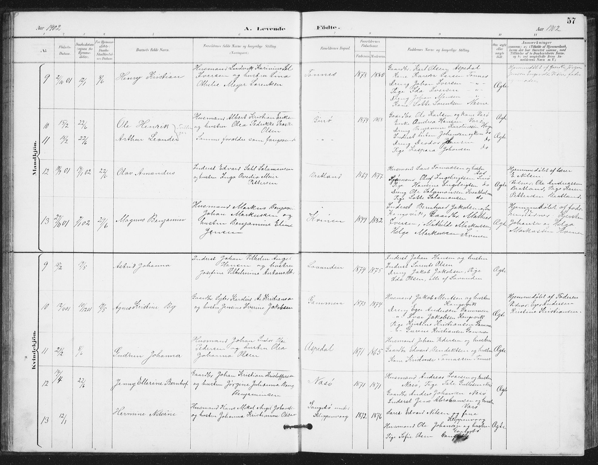 Ministerialprotokoller, klokkerbøker og fødselsregistre - Nordland, AV/SAT-A-1459/839/L0573: Parish register (copy) no. 839C03, 1892-1917, p. 57