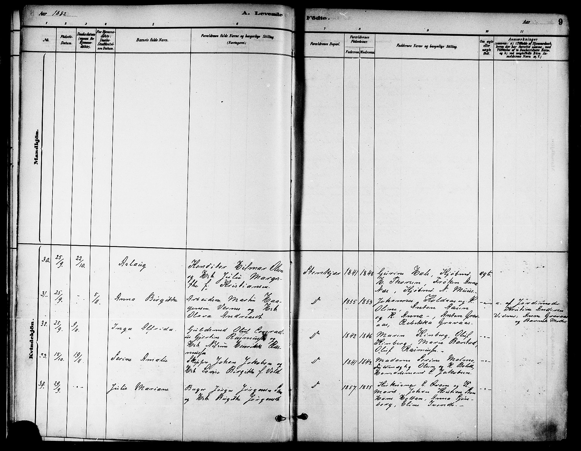 Ministerialprotokoller, klokkerbøker og fødselsregistre - Nord-Trøndelag, AV/SAT-A-1458/739/L0371: Parish register (official) no. 739A03, 1881-1895, p. 9