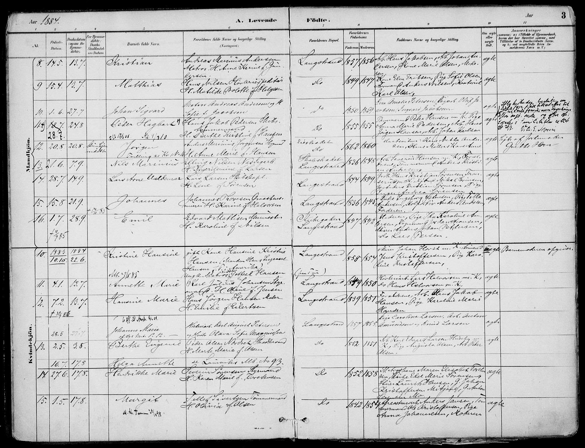 Larvik kirkebøker, AV/SAKO-A-352/F/Fb/L0004: Parish register (official) no. II 4, 1884-1902, p. 3