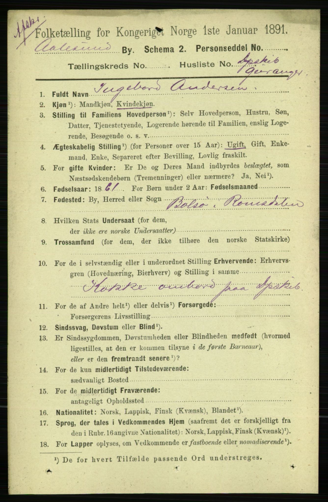 RA, 1891 census for 1501 Ålesund, 1891, p. 9891