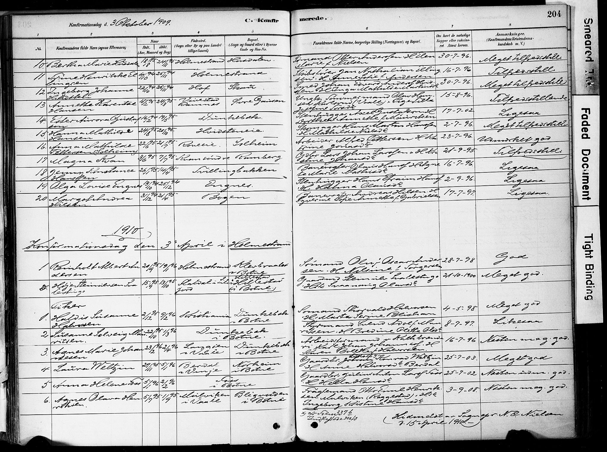 Botne kirkebøker, AV/SAKO-A-340/F/Fa/L0007: Parish register (official) no. I 7, 1878-1910, p. 204