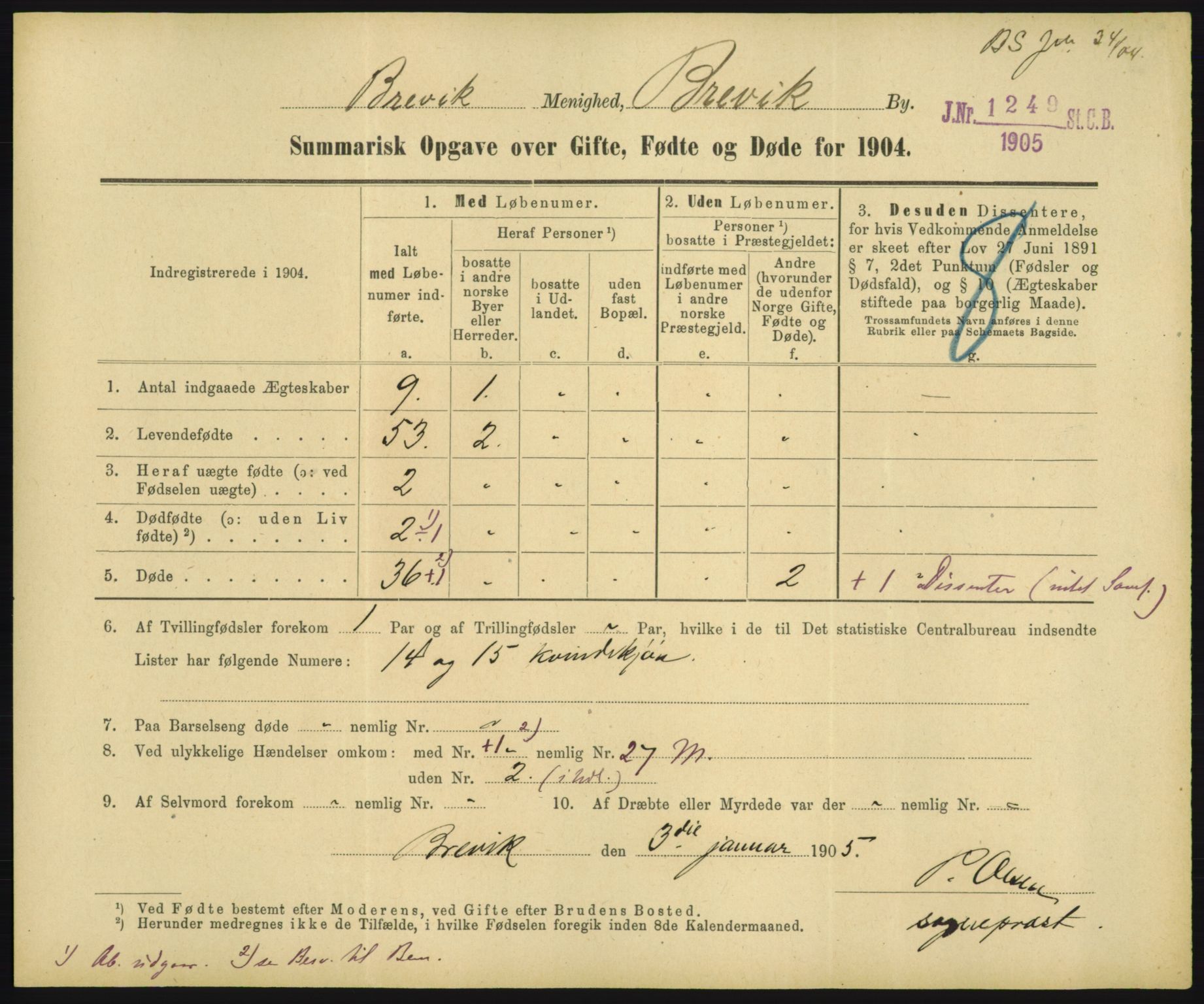 Statistisk sentralbyrå, Sosiodemografiske emner, Befolkning, RA/S-2228/D/Df/Dfa/Dfab/L0028: Summariske oppgaver over fødte, gifte, døde. Byer, 1904, p. 105