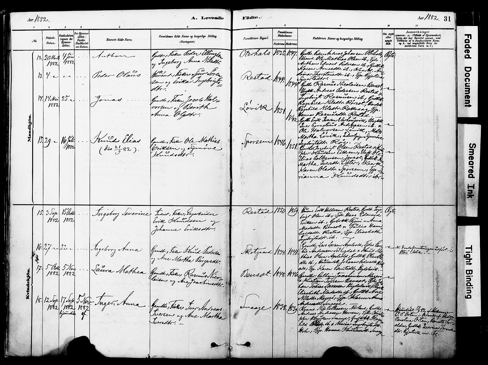 Ministerialprotokoller, klokkerbøker og fødselsregistre - Møre og Romsdal, SAT/A-1454/560/L0721: Parish register (official) no. 560A05, 1878-1917, p. 31
